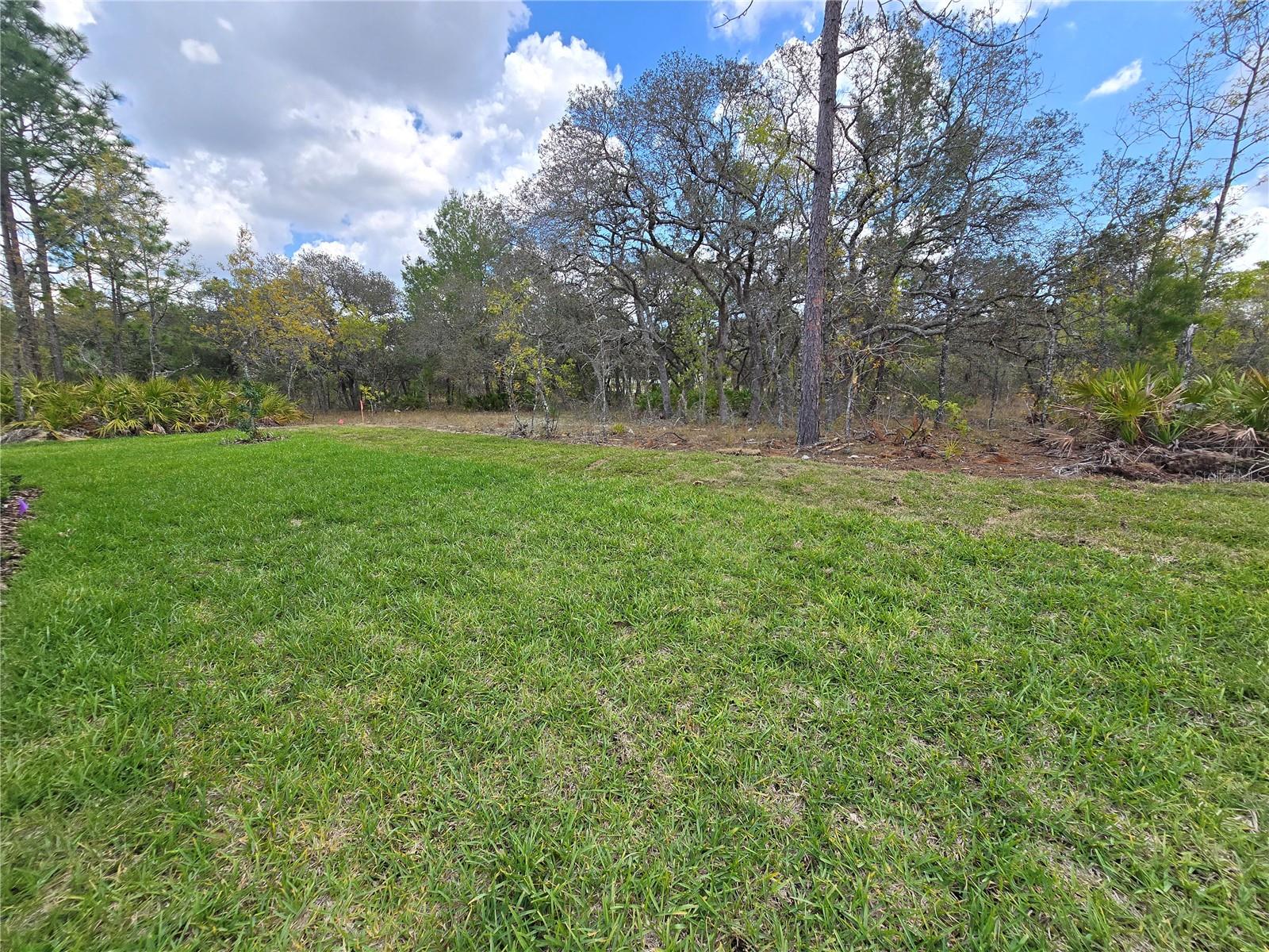 87 VINCA ST, HOMOSASSA, FL, 34446