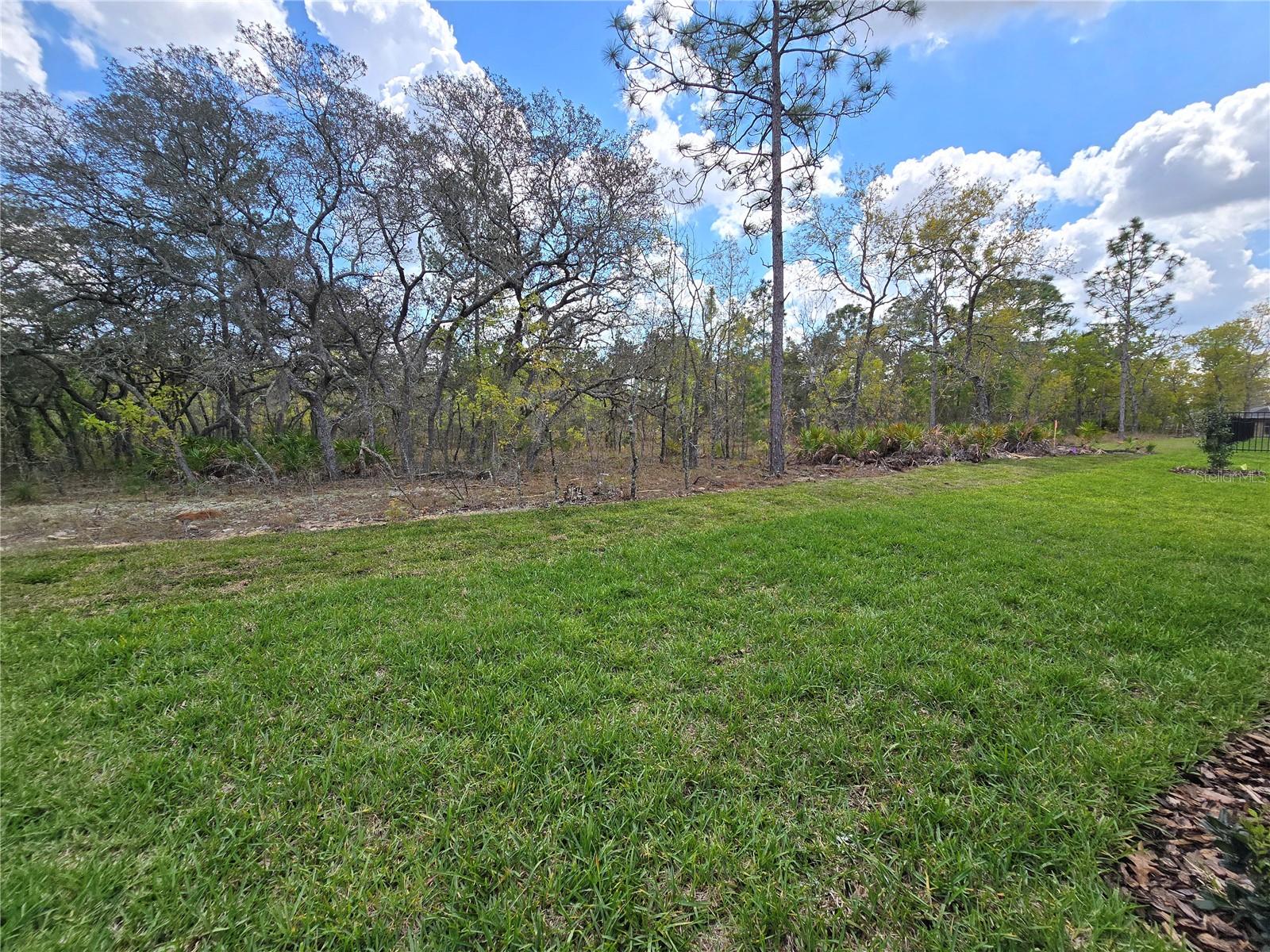 87 VINCA ST, HOMOSASSA, FL, 34446