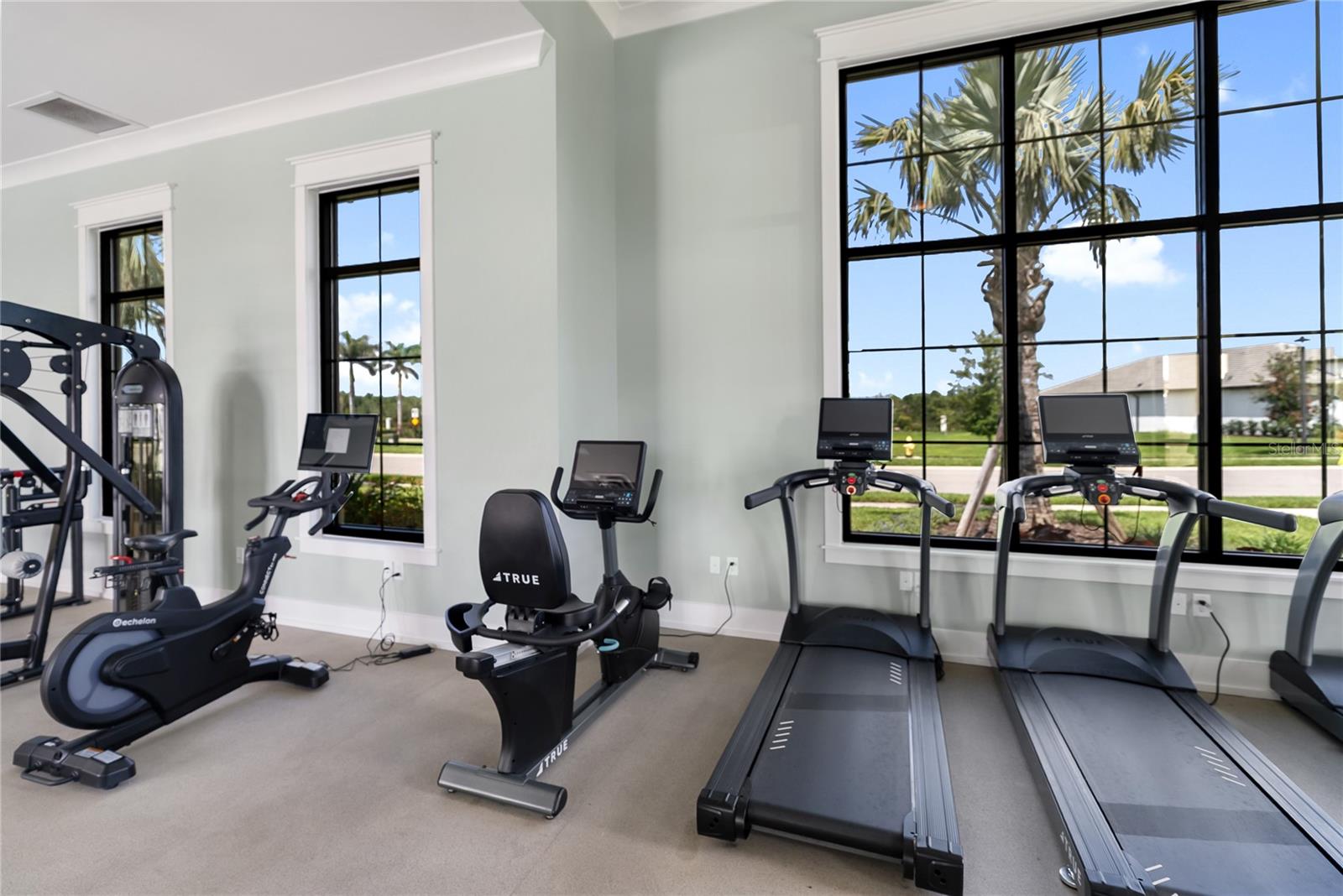 17506 SAVORY MIST CIR, BRADENTON, FL, 34211