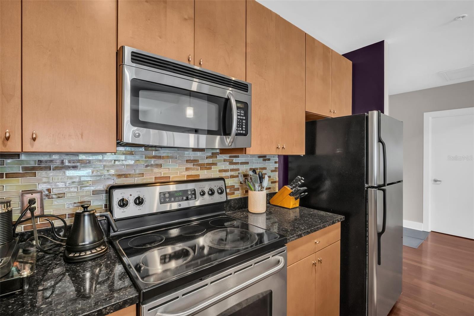 1010 CENTRAL AVE #417, ST PETERSBURG, FL, 33705