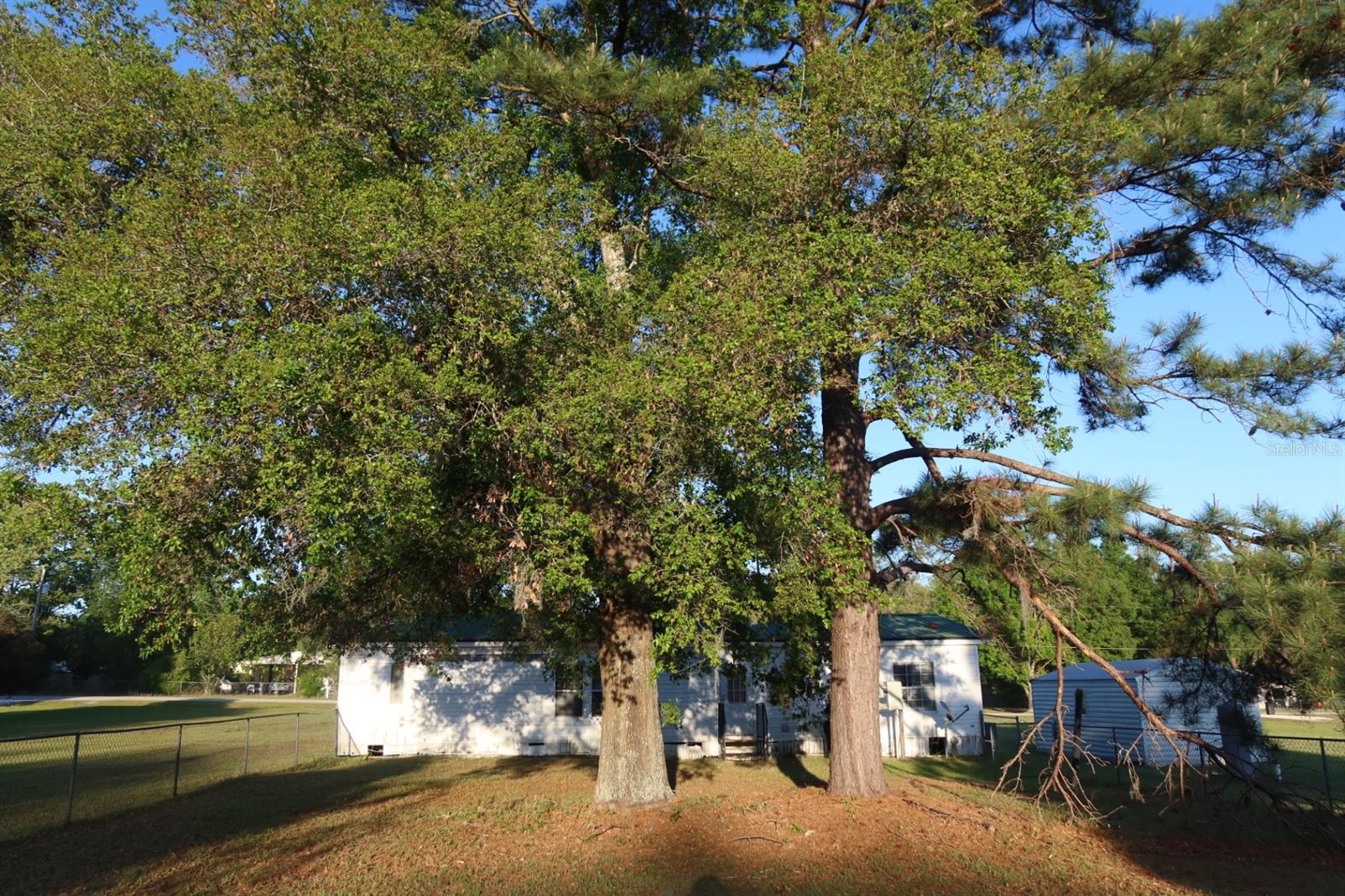 262 SW LYNNWOOD AVE, LAKE CITY, FL, 32024