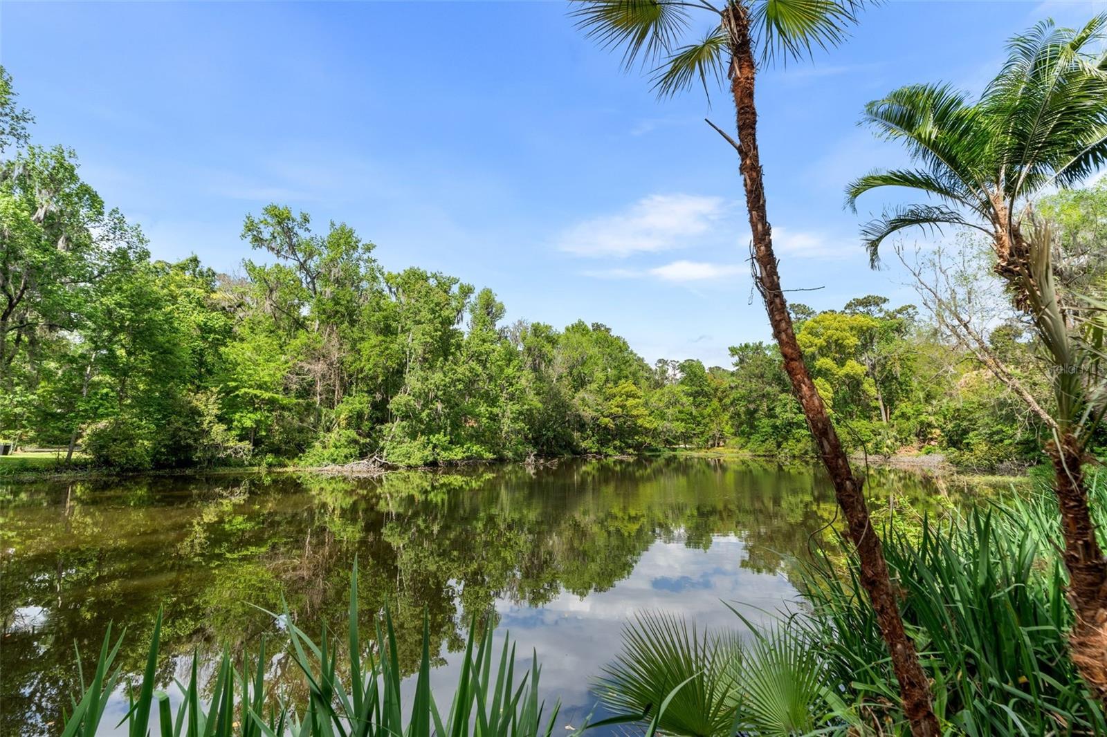 630 SW 26TH PL, GAINESVILLE, FL, 32601