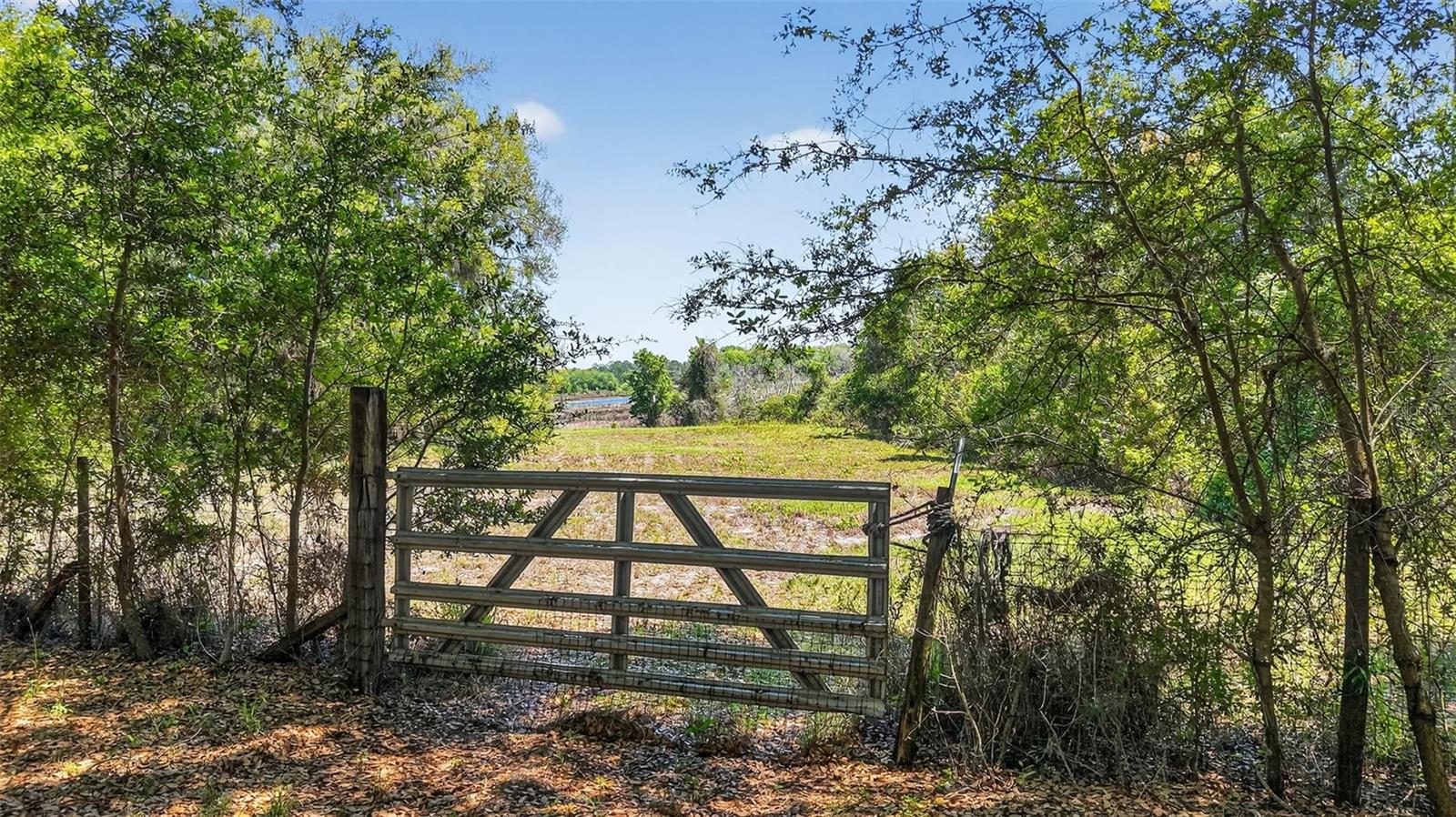 32510 WHITNEY RD, LEESBURG, FL, 34748