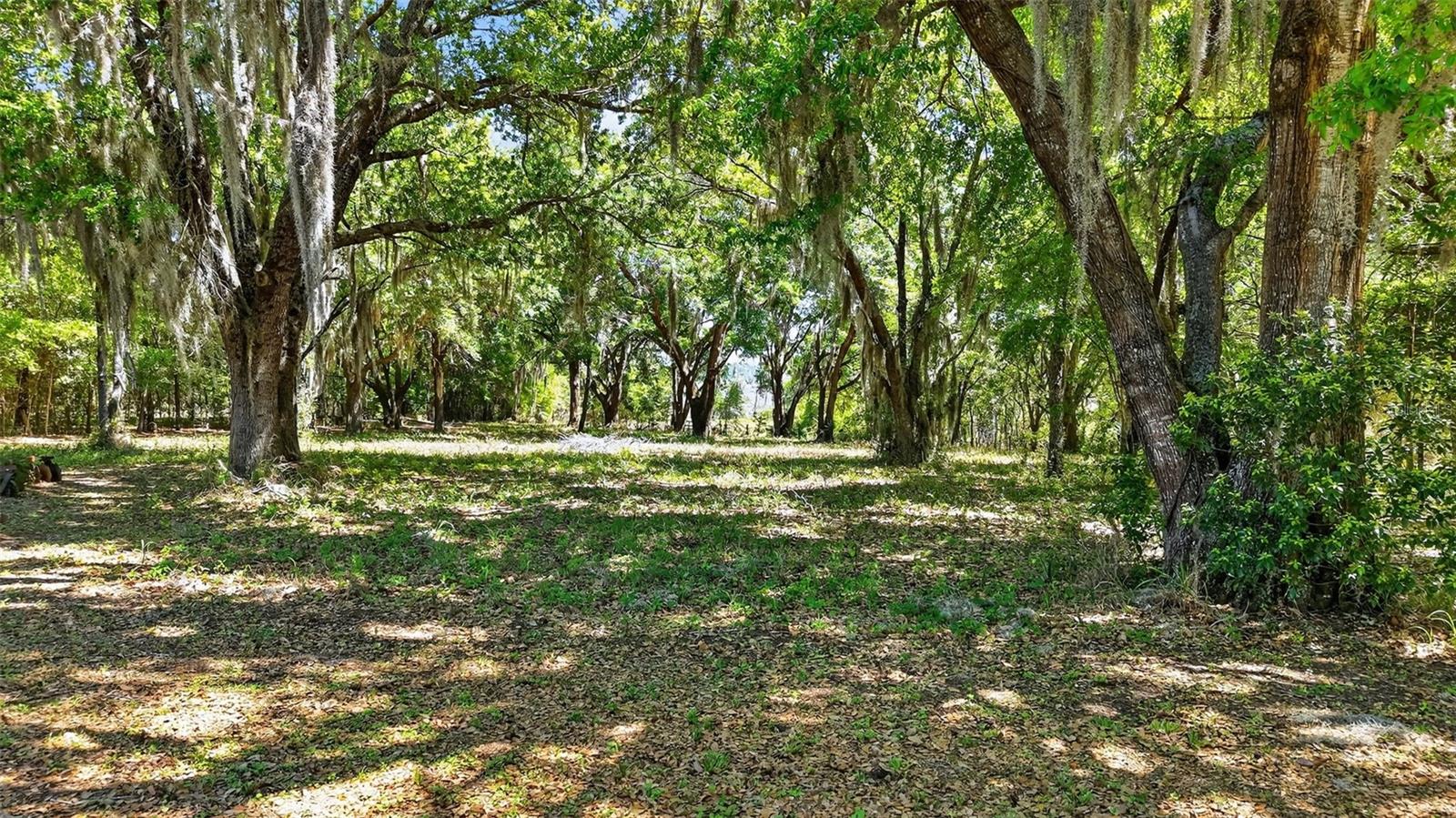 32510 WHITNEY RD, LEESBURG, FL, 34748