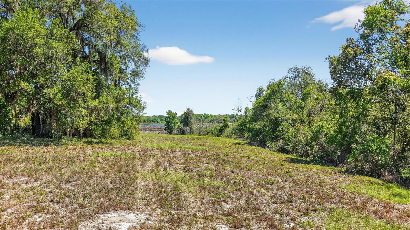 32510 WHITNEY RD, LEESBURG, FL, 34748