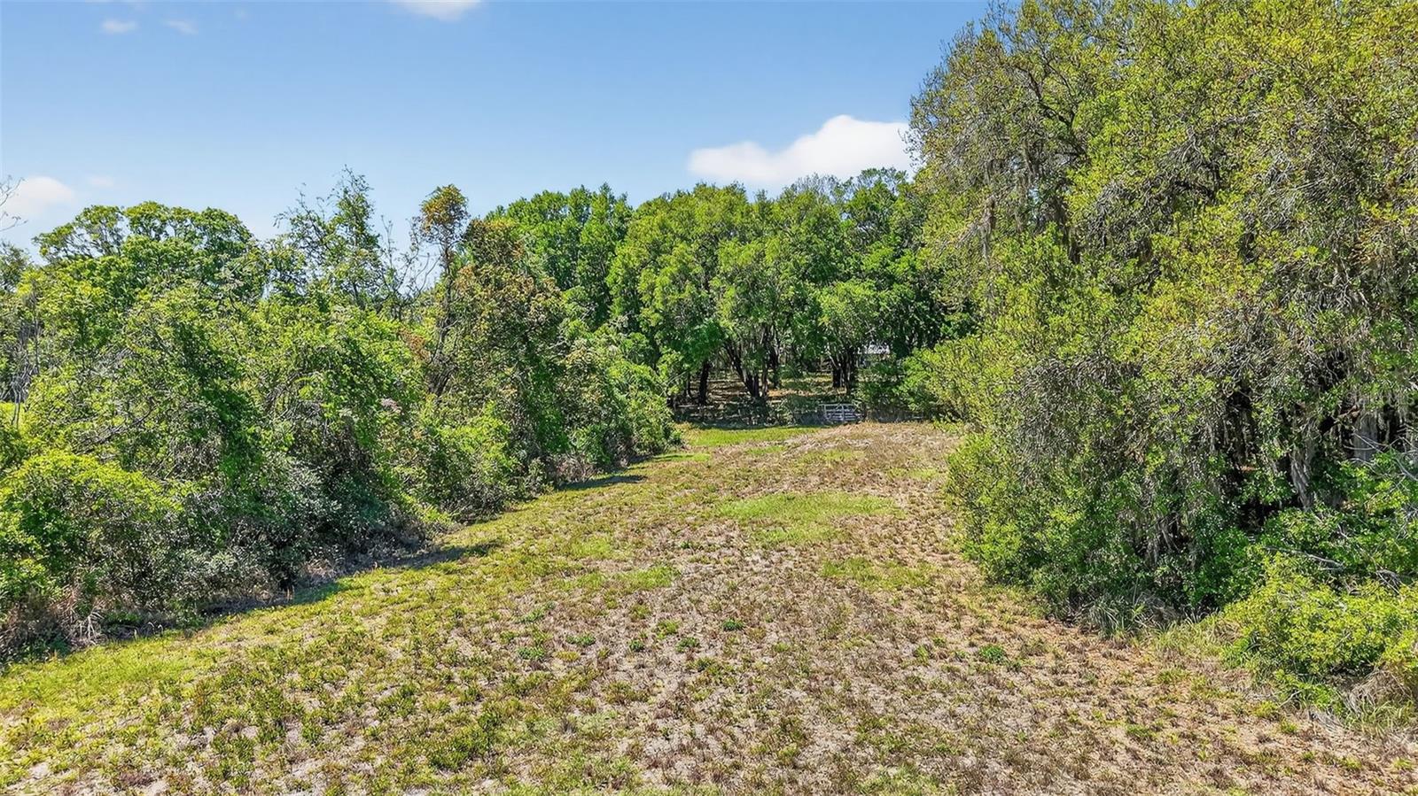 32510 WHITNEY RD, LEESBURG, FL, 34748