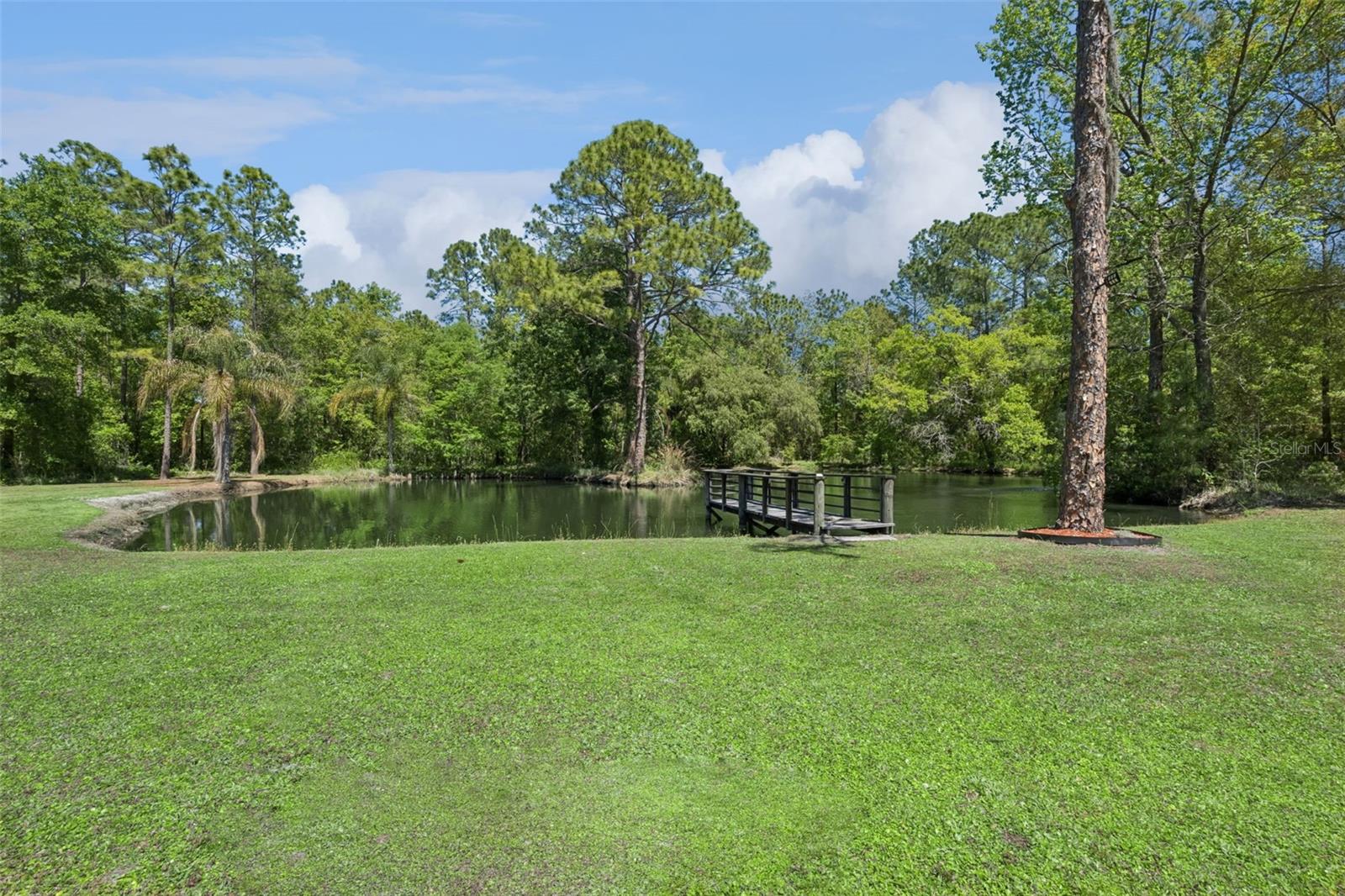 8501 NATURES HAMMOCK TRL, KISSIMMEE, FL, 34747