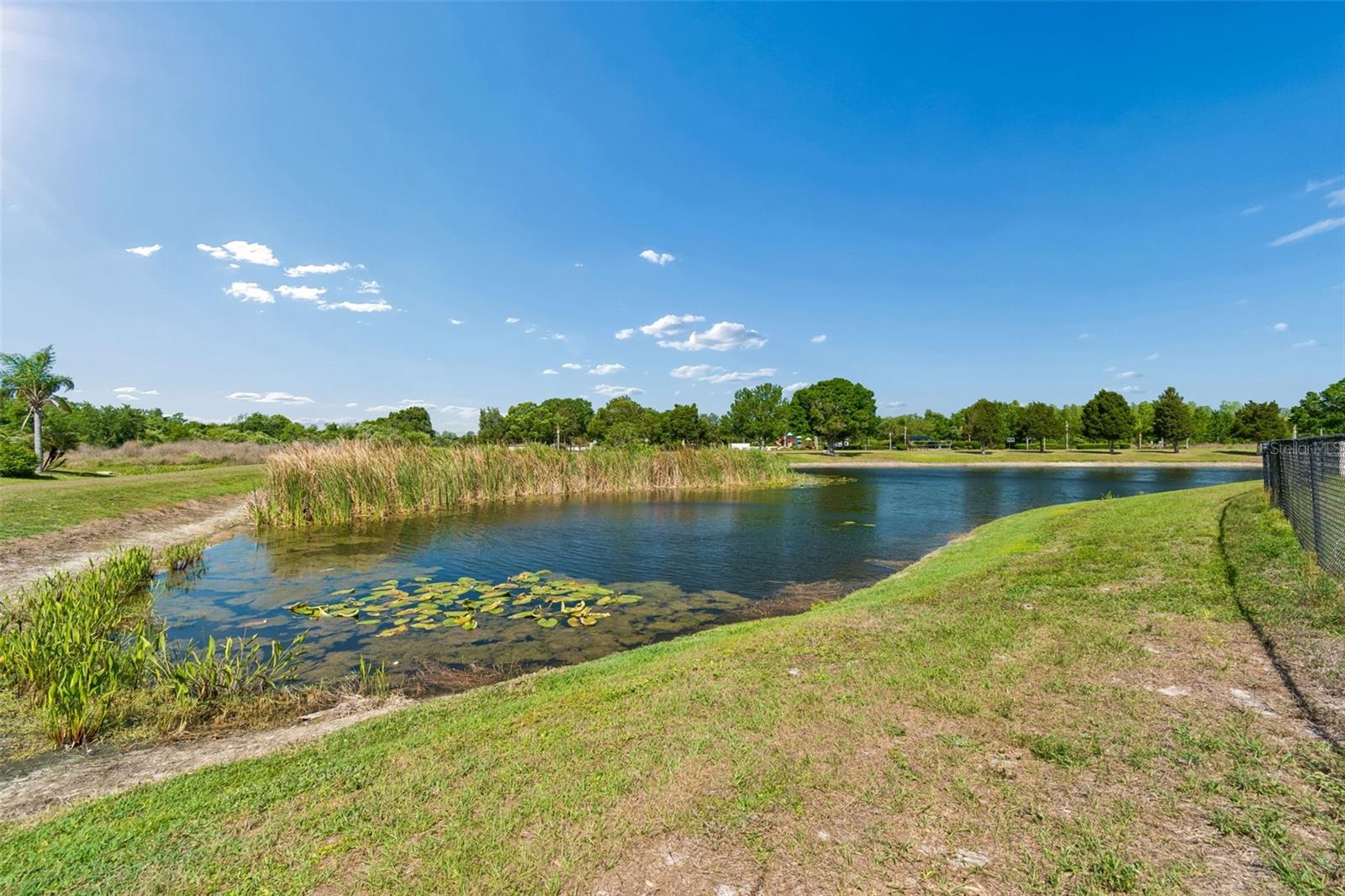 9515 SIMEON DR, LAND O LAKES, FL, 34638