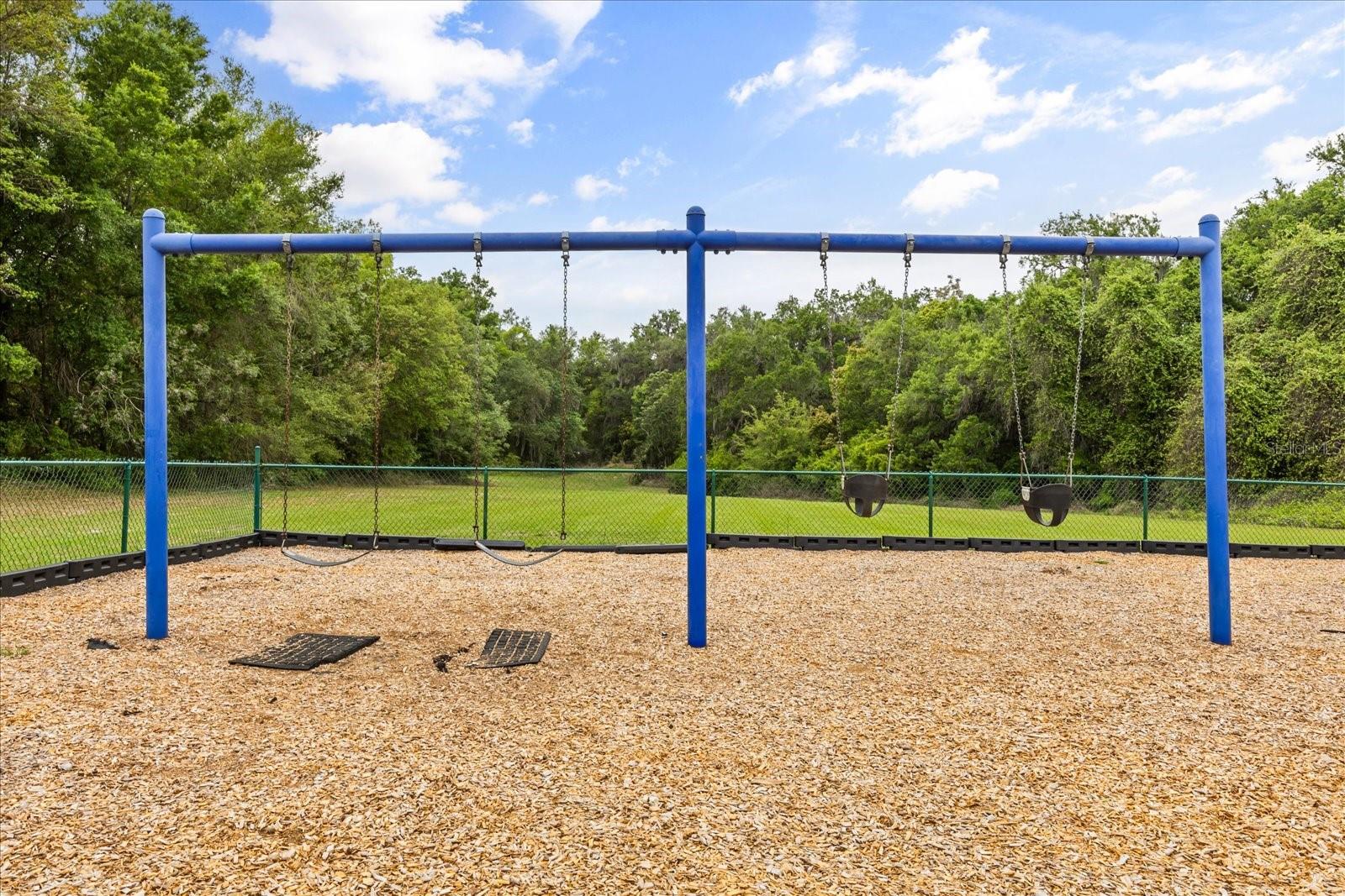 1500 DAYBREAK DR, FRUITLAND PARK, FL, 34731