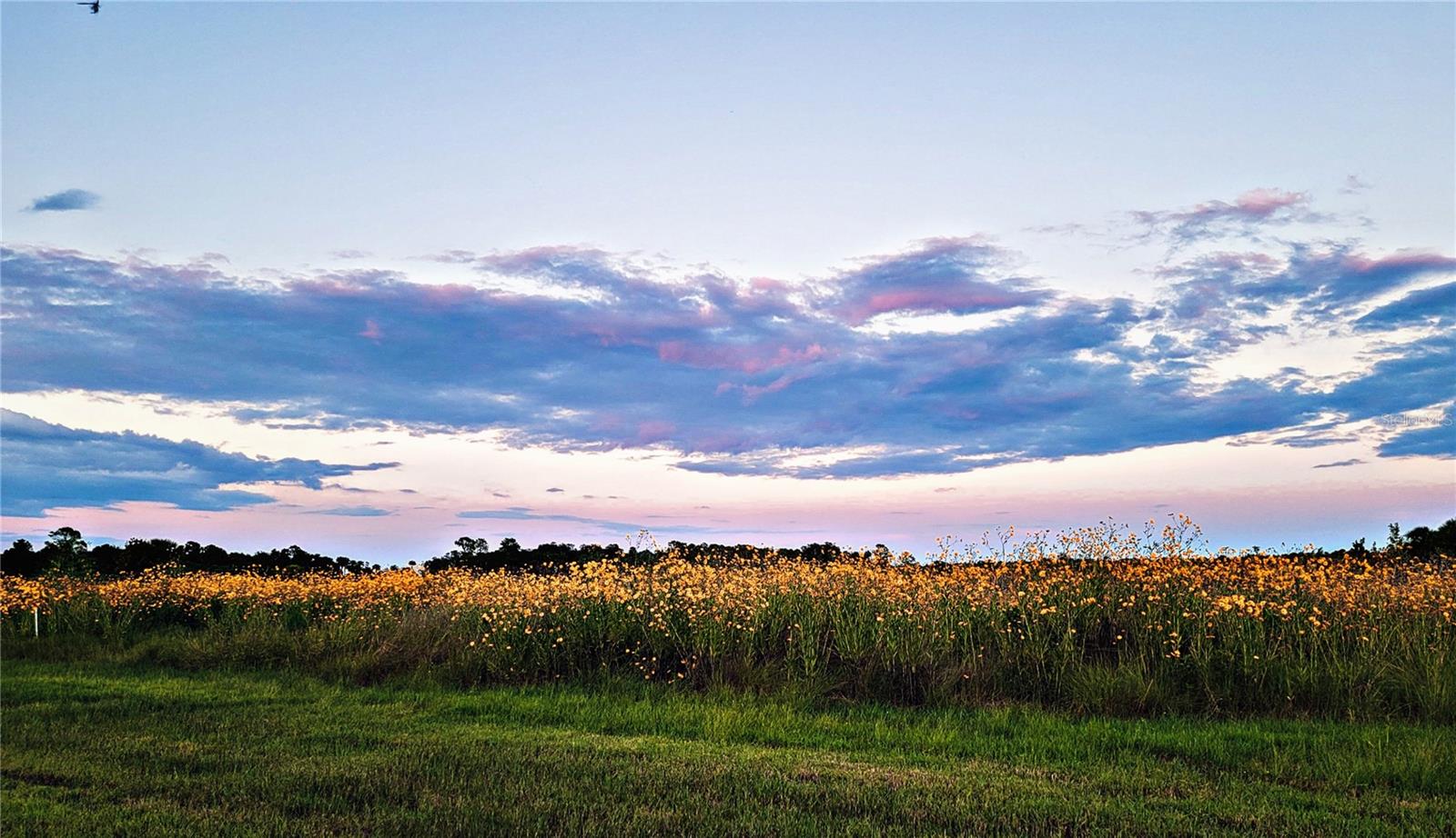 2269 MULLET LAKE PARK RD, GENEVA, FL, 32732