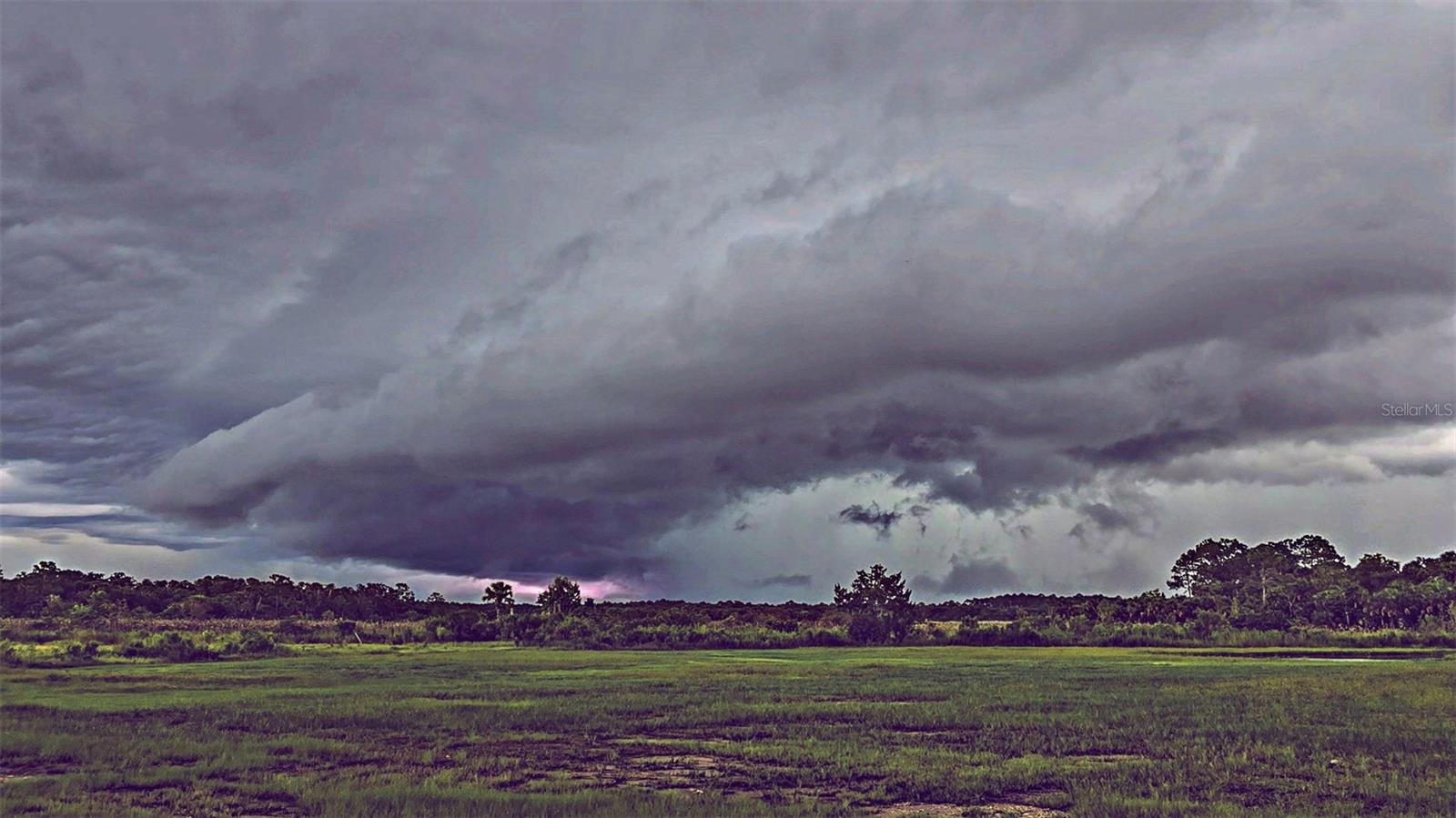 2269 MULLET LAKE PARK RD, GENEVA, FL, 32732