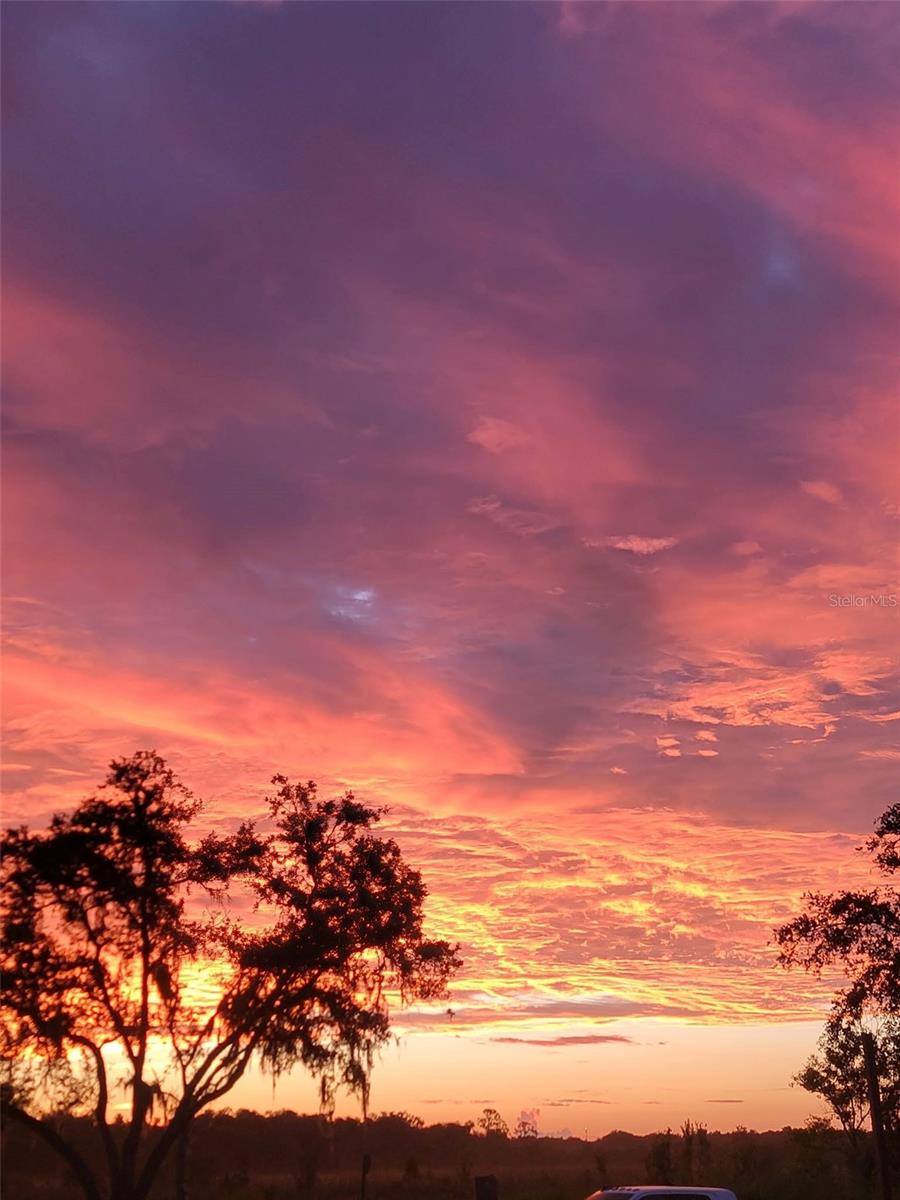 2269 MULLET LAKE PARK RD, GENEVA, FL, 32732