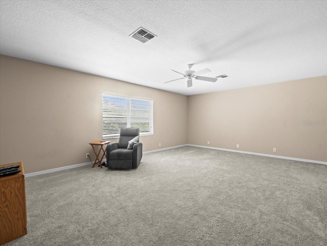 Bonus Room/Bedroom 5