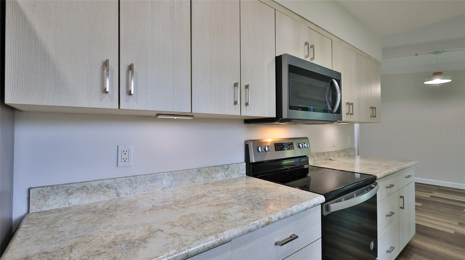 2917 SABAL PALM DR, EDGEWATER, FL, 32141
