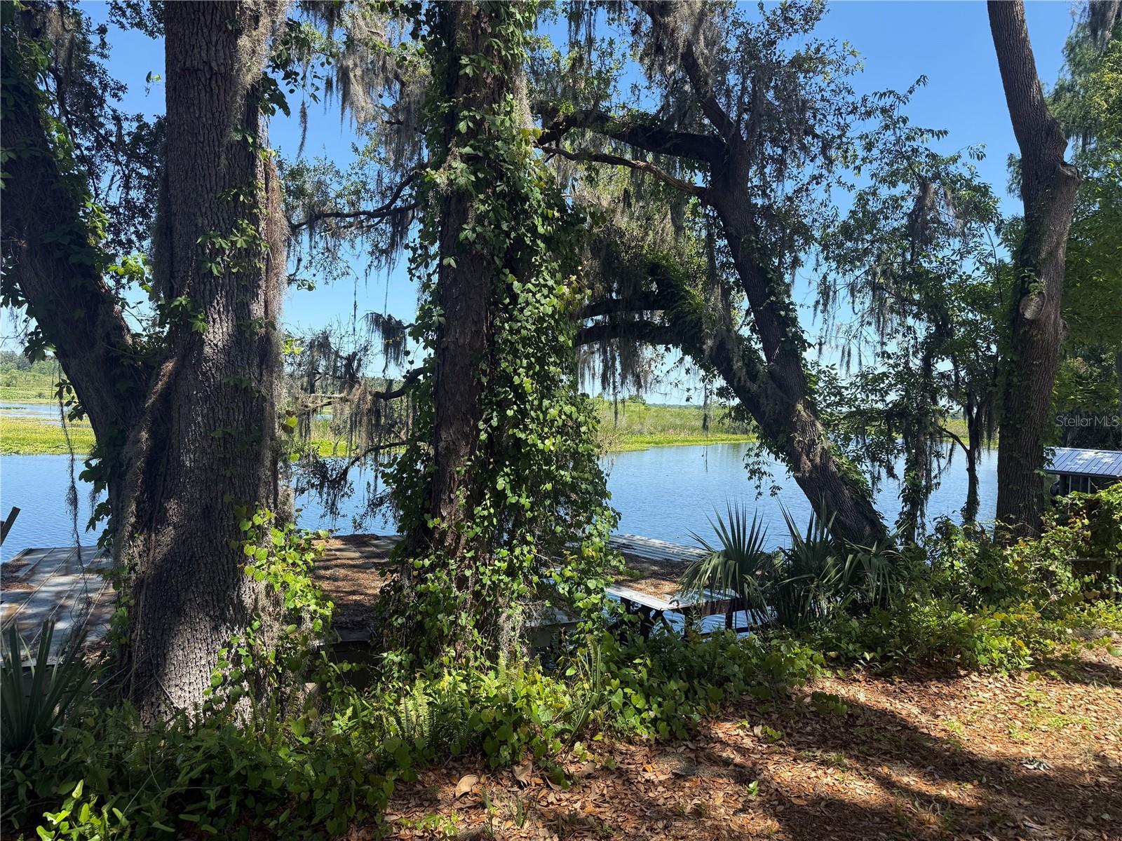 5239 W RIVERBEND RD, DUNNELLON, FL, 34433