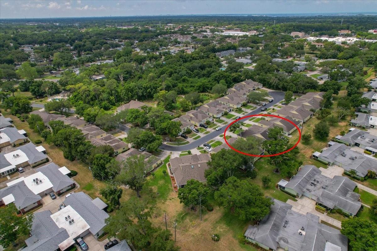 1171 ROYAL BLVD, PALM HARBOR, FL, 34684