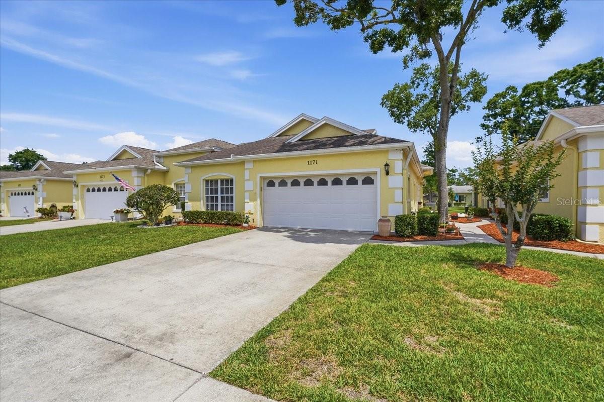 1171 ROYAL BLVD, PALM HARBOR, FL, 34684