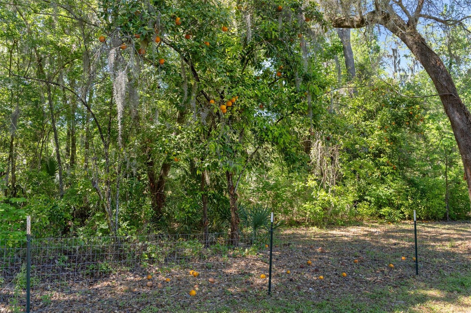 5487 CEDAR LN, BROOKSVILLE, FL, 34601