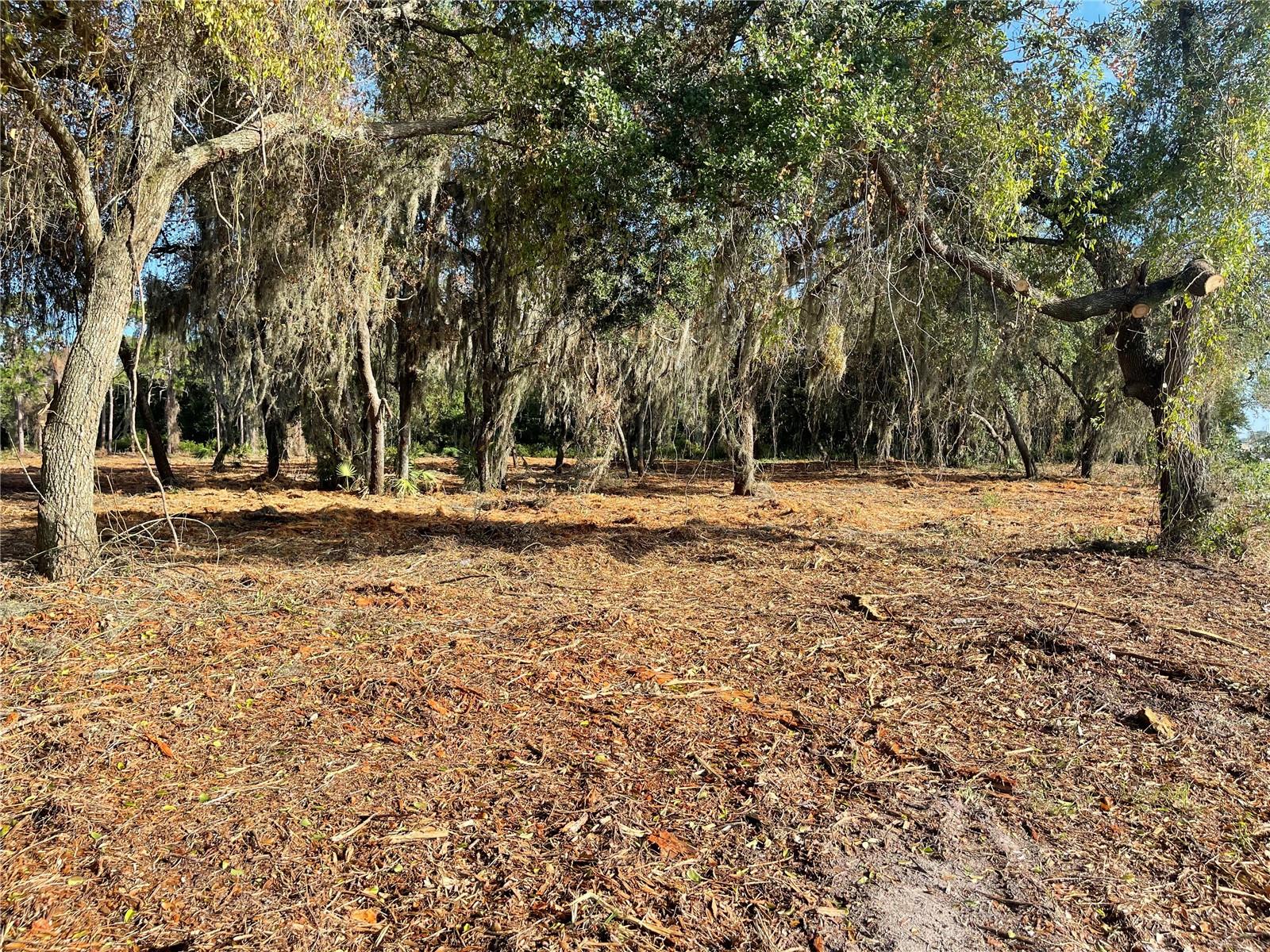 3524 HICKORY TREE RD, ST CLOUD, FL, 34772