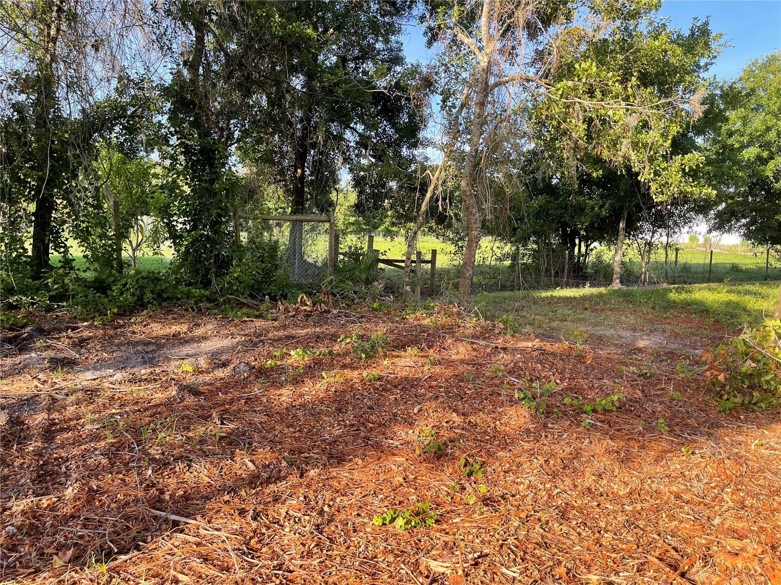 3524 HICKORY TREE RD, ST CLOUD, FL, 34772