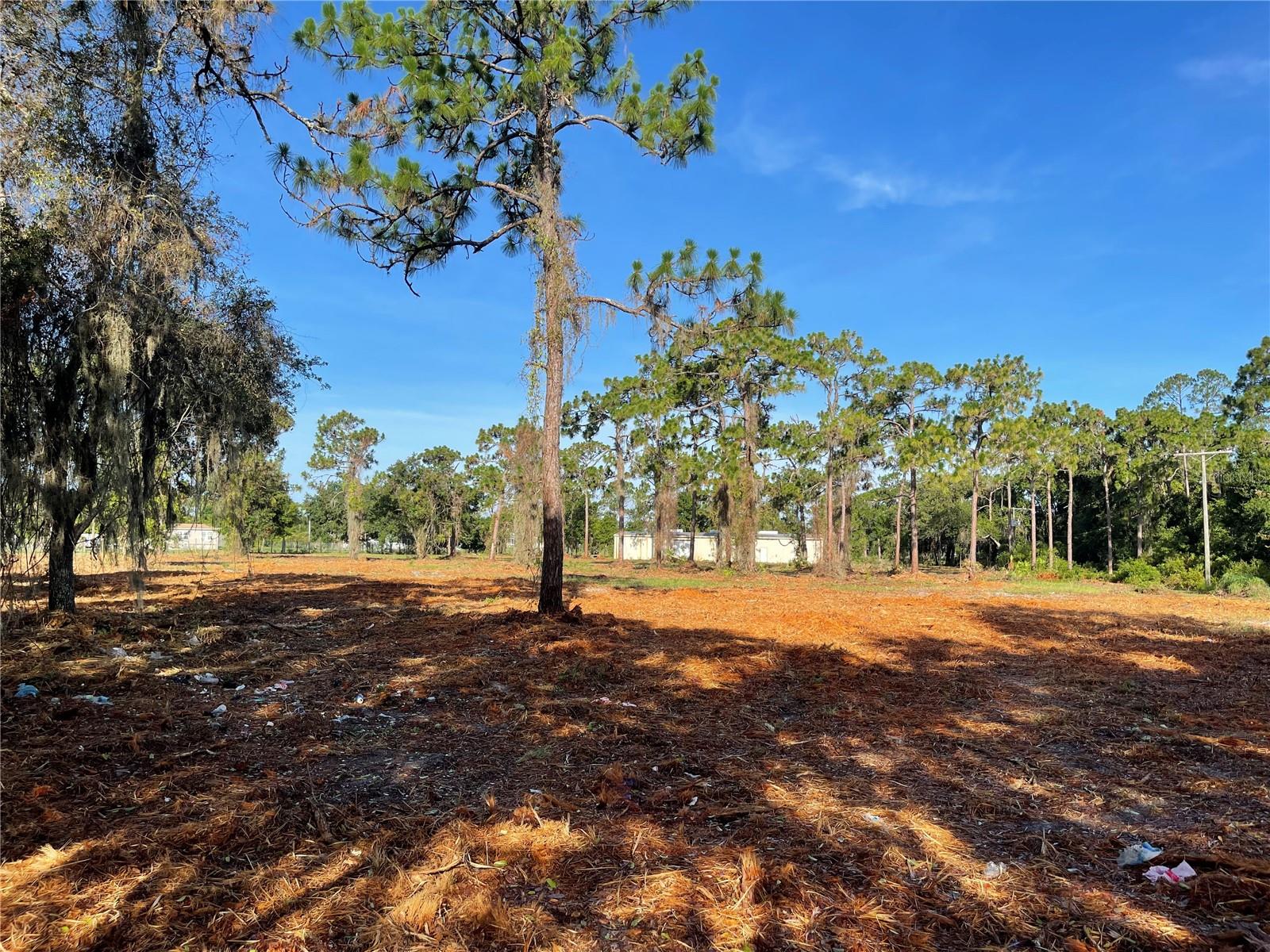 3524 HICKORY TREE RD, ST CLOUD, FL, 34772