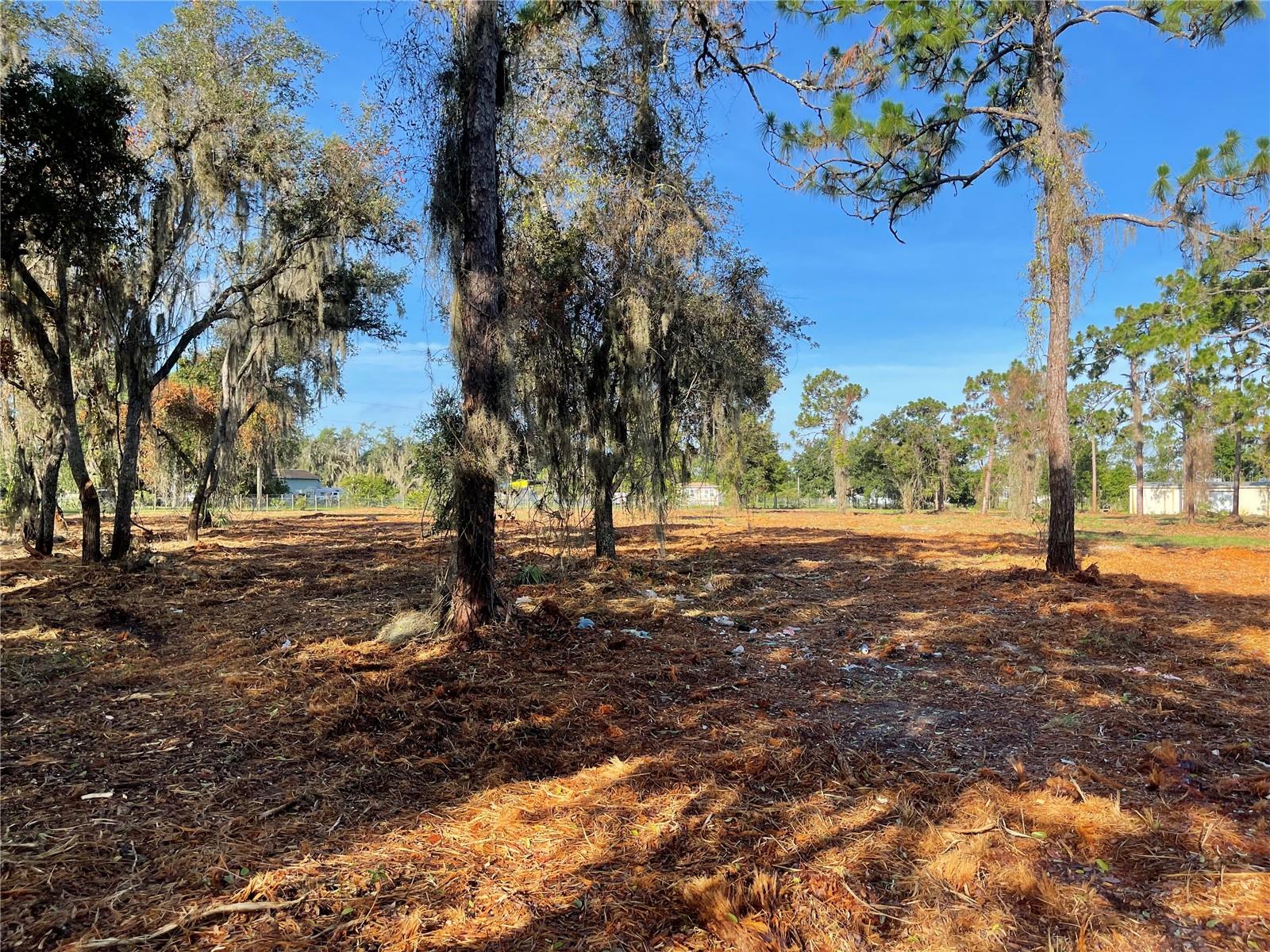 3524 HICKORY TREE RD, ST CLOUD, FL, 34772