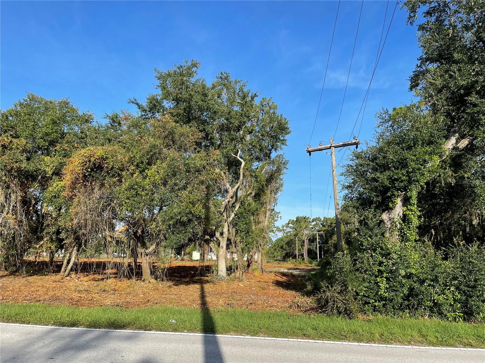 3524 HICKORY TREE RD, ST CLOUD, FL, 34772