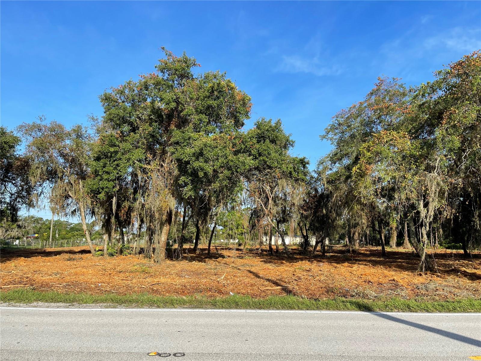 3524 HICKORY TREE RD, ST CLOUD, FL, 34772