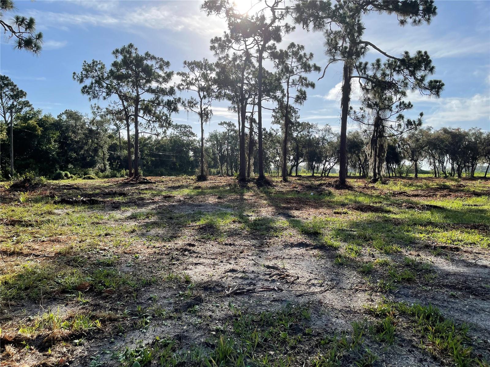 3524 HICKORY TREE RD, ST CLOUD, FL, 34772