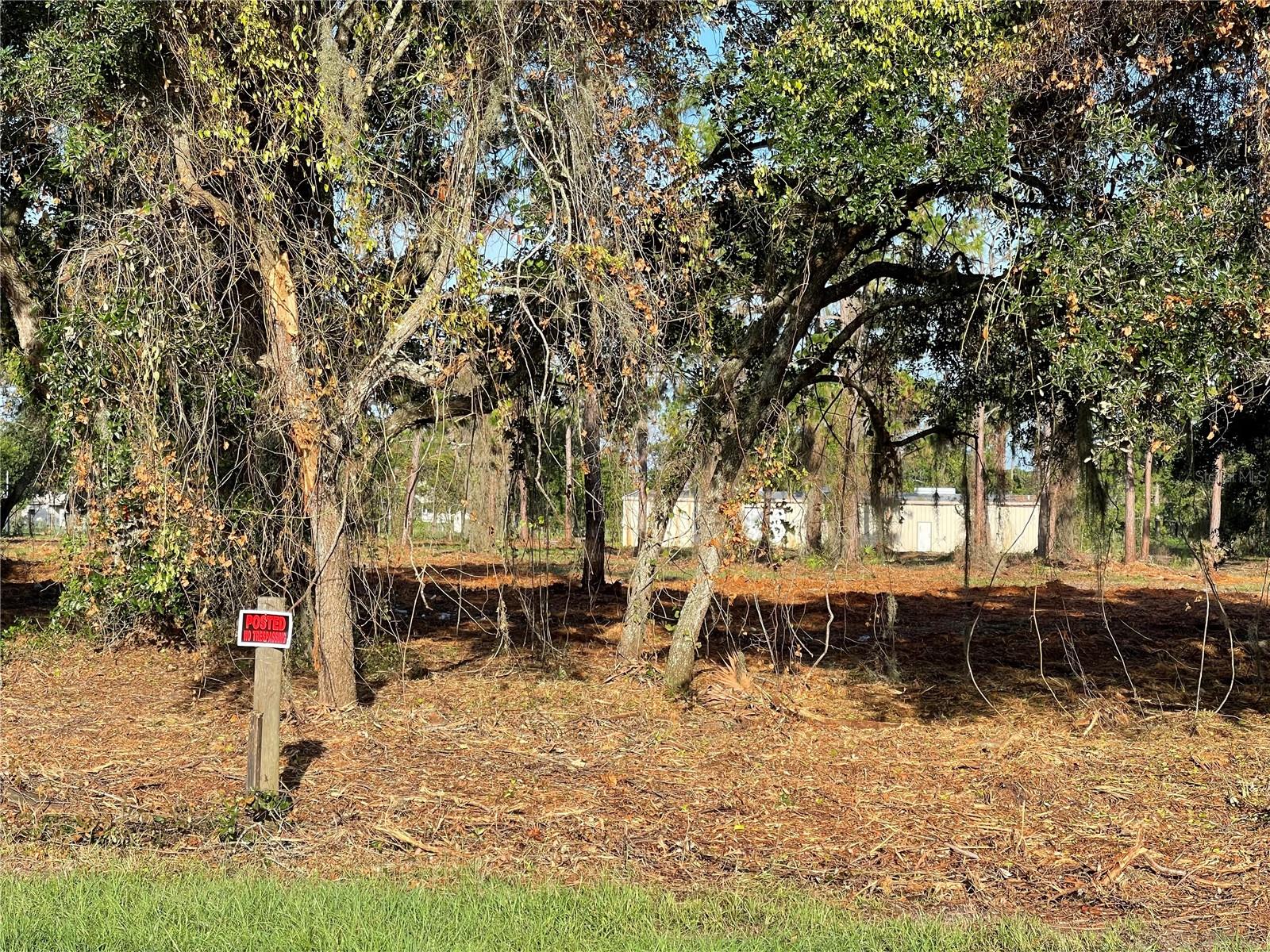 3524 HICKORY TREE RD, ST CLOUD, FL, 34772
