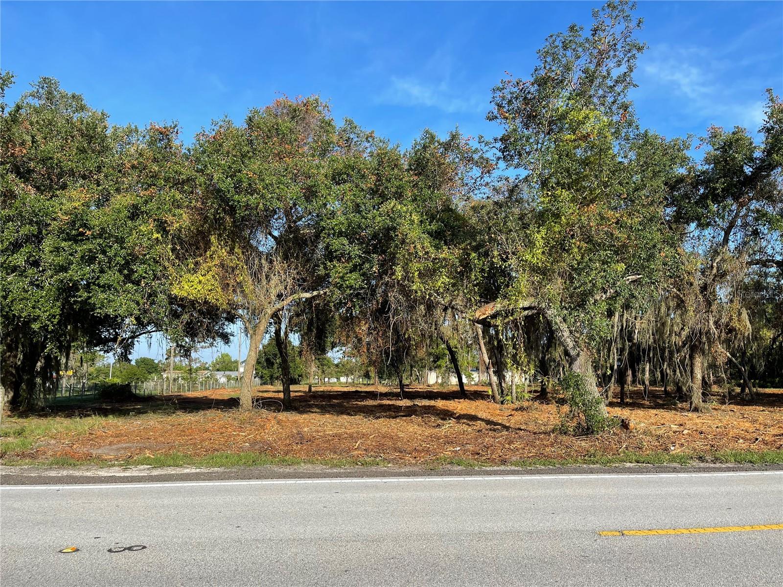 3524 HICKORY TREE RD, ST CLOUD, FL, 34772
