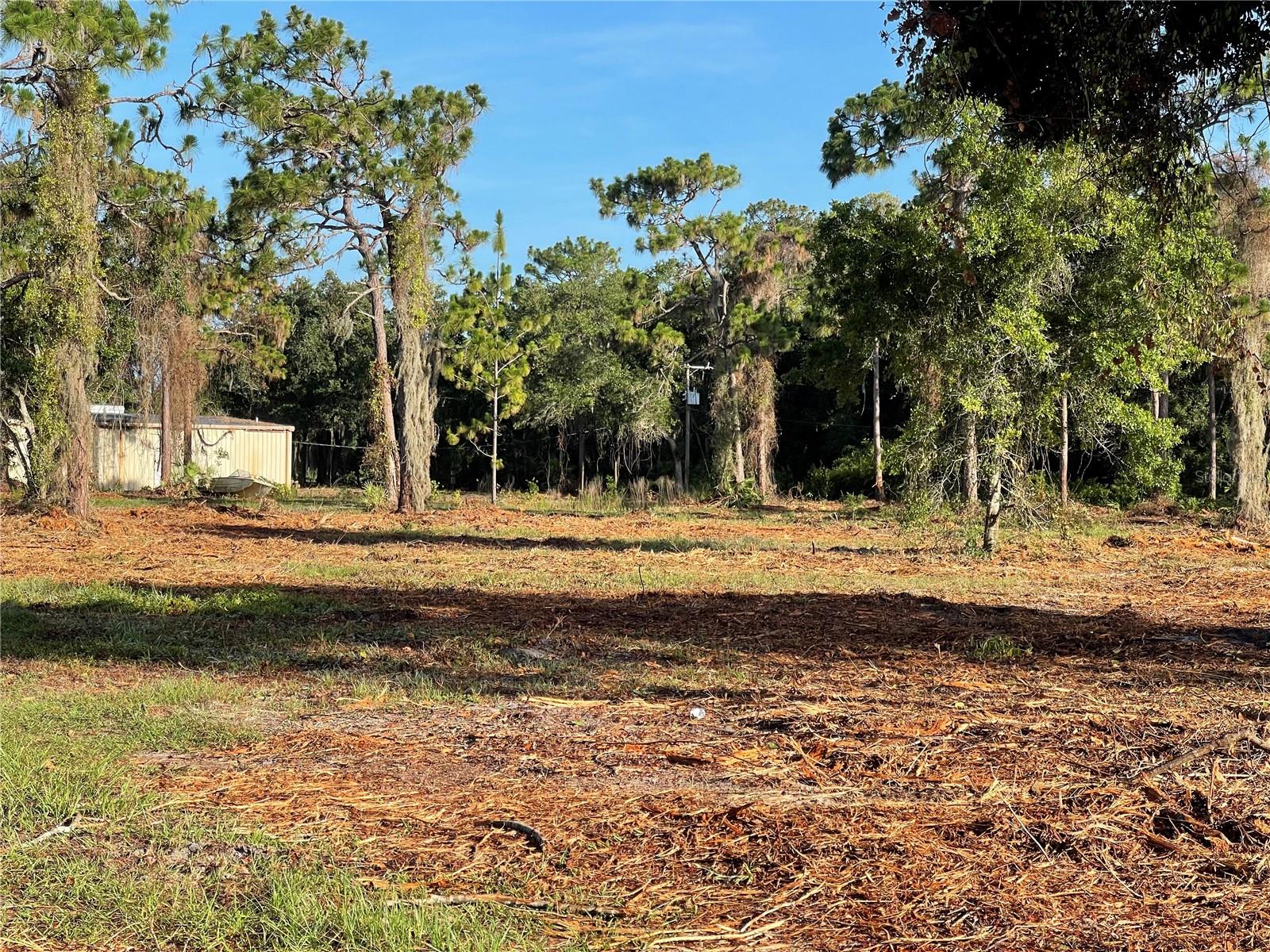 3524 HICKORY TREE RD, ST CLOUD, FL, 34772