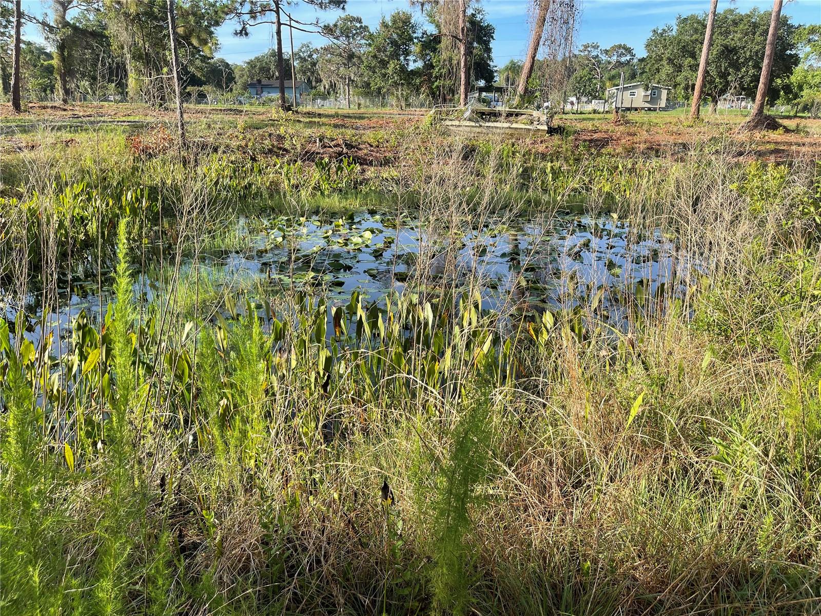3524 HICKORY TREE RD, ST CLOUD, FL, 34772