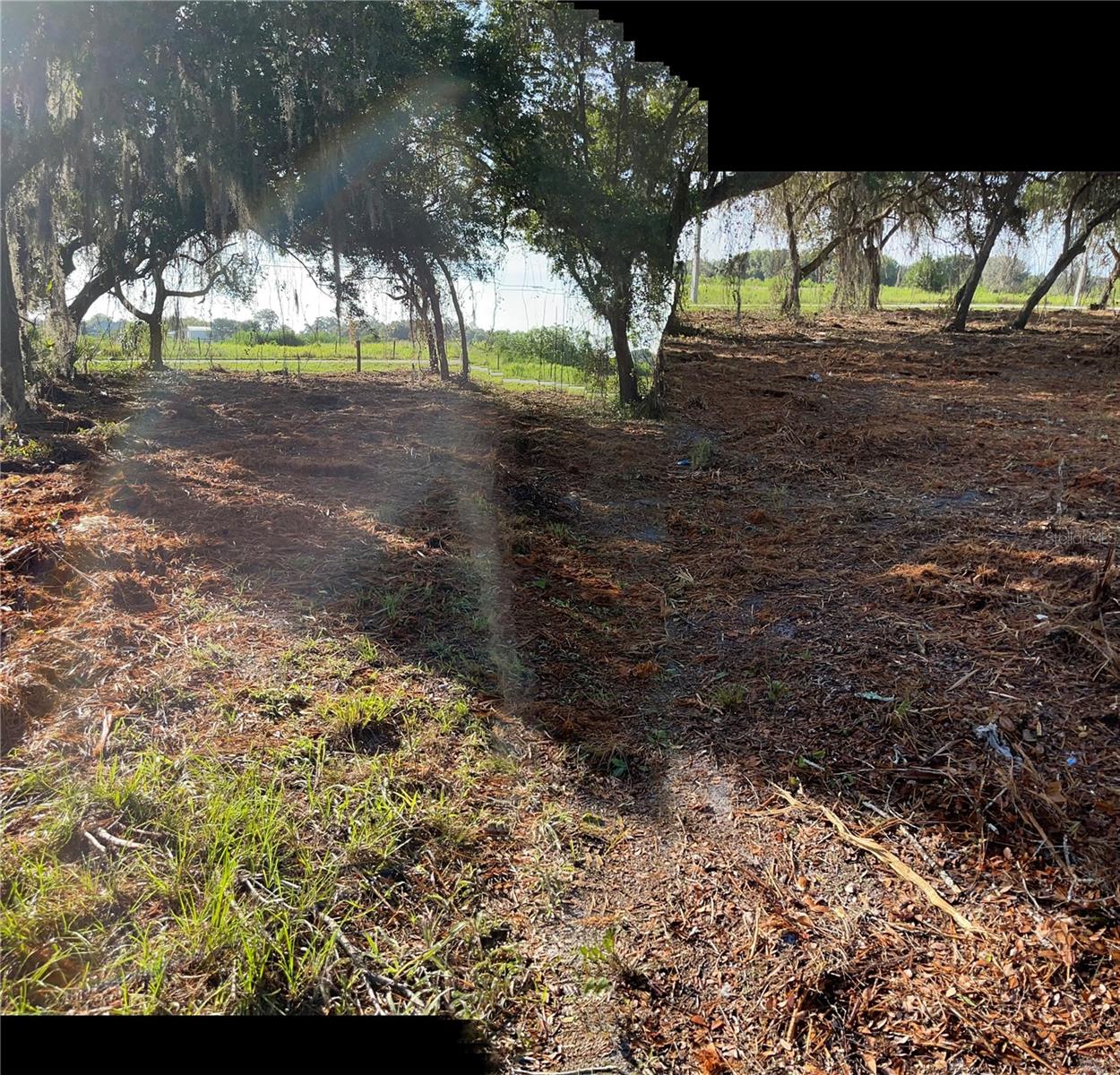 3524 HICKORY TREE RD, ST CLOUD, FL, 34772