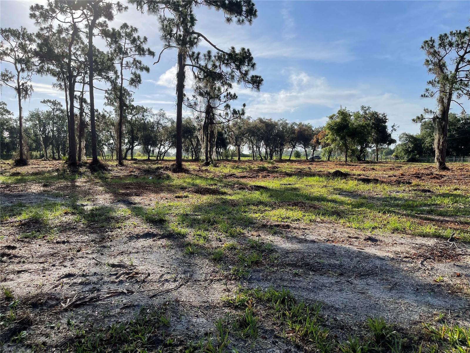 3524 HICKORY TREE RD, ST CLOUD, FL, 34772