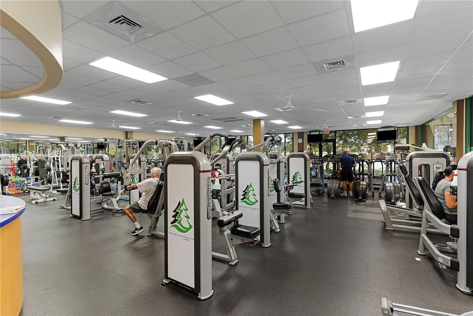 9255 SE 120TH LOOP, SUMMERFIELD, FL, 34491