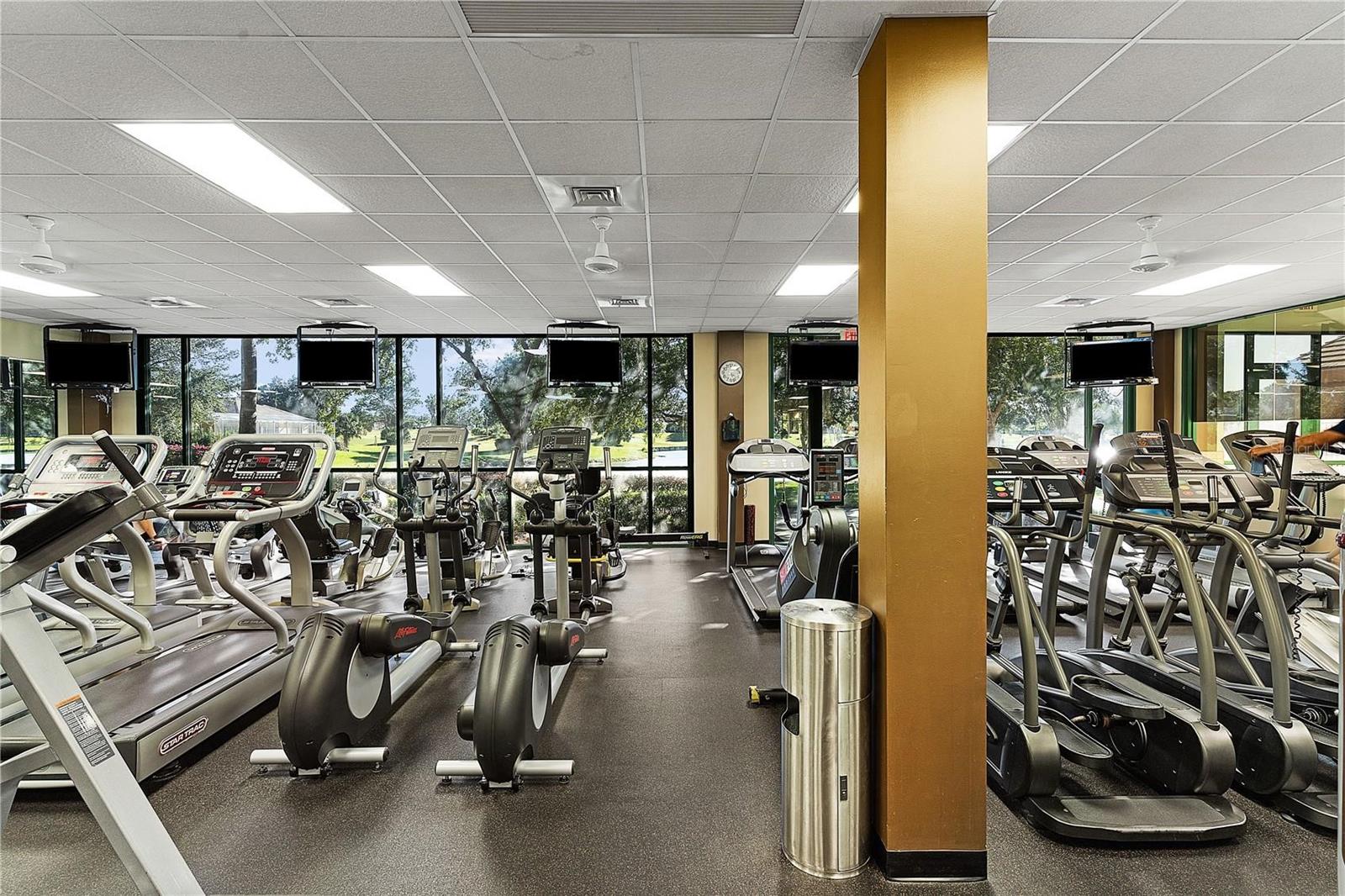 9255 SE 120TH LOOP, SUMMERFIELD, FL, 34491