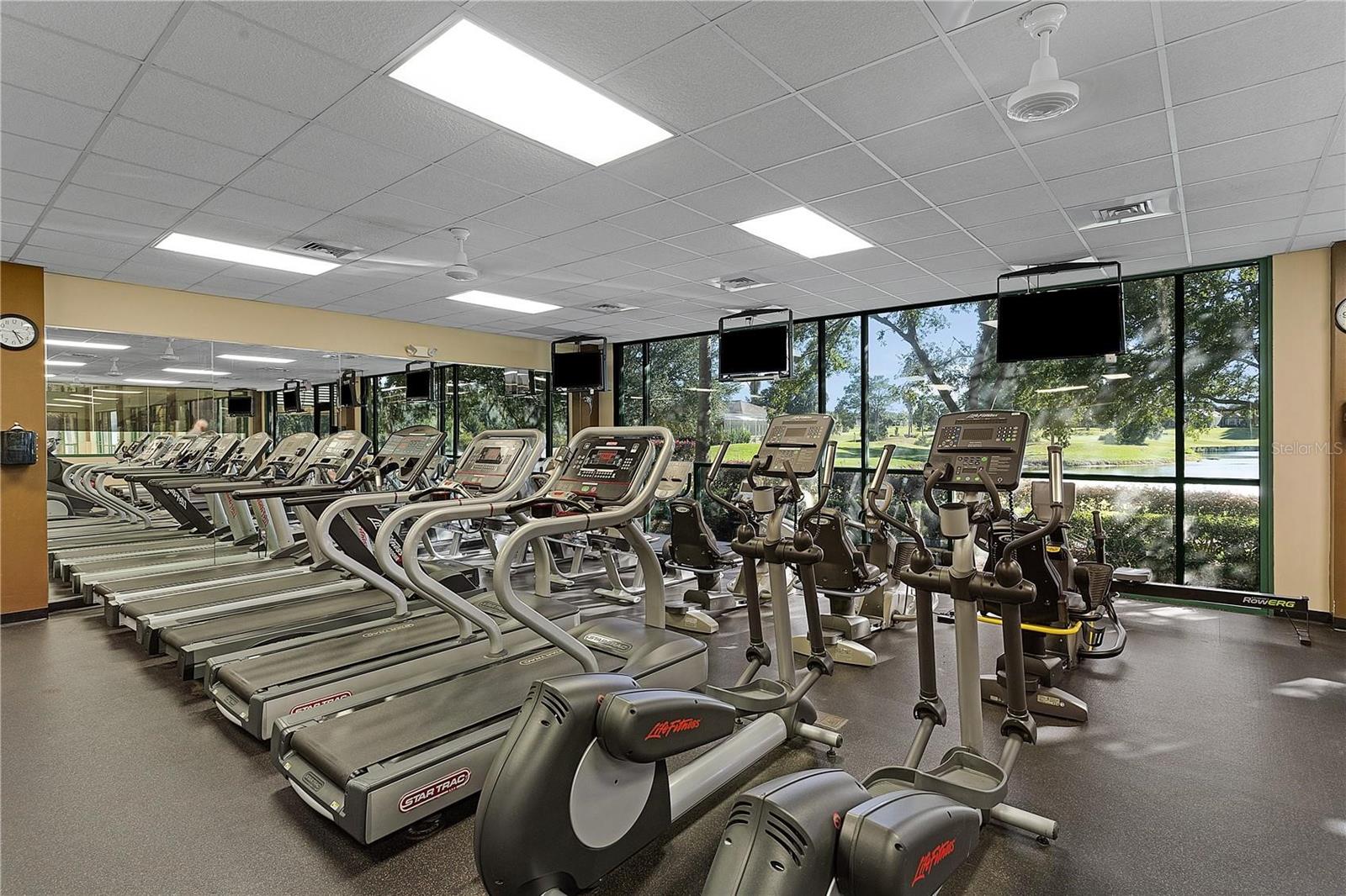 9255 SE 120TH LOOP, SUMMERFIELD, FL, 34491