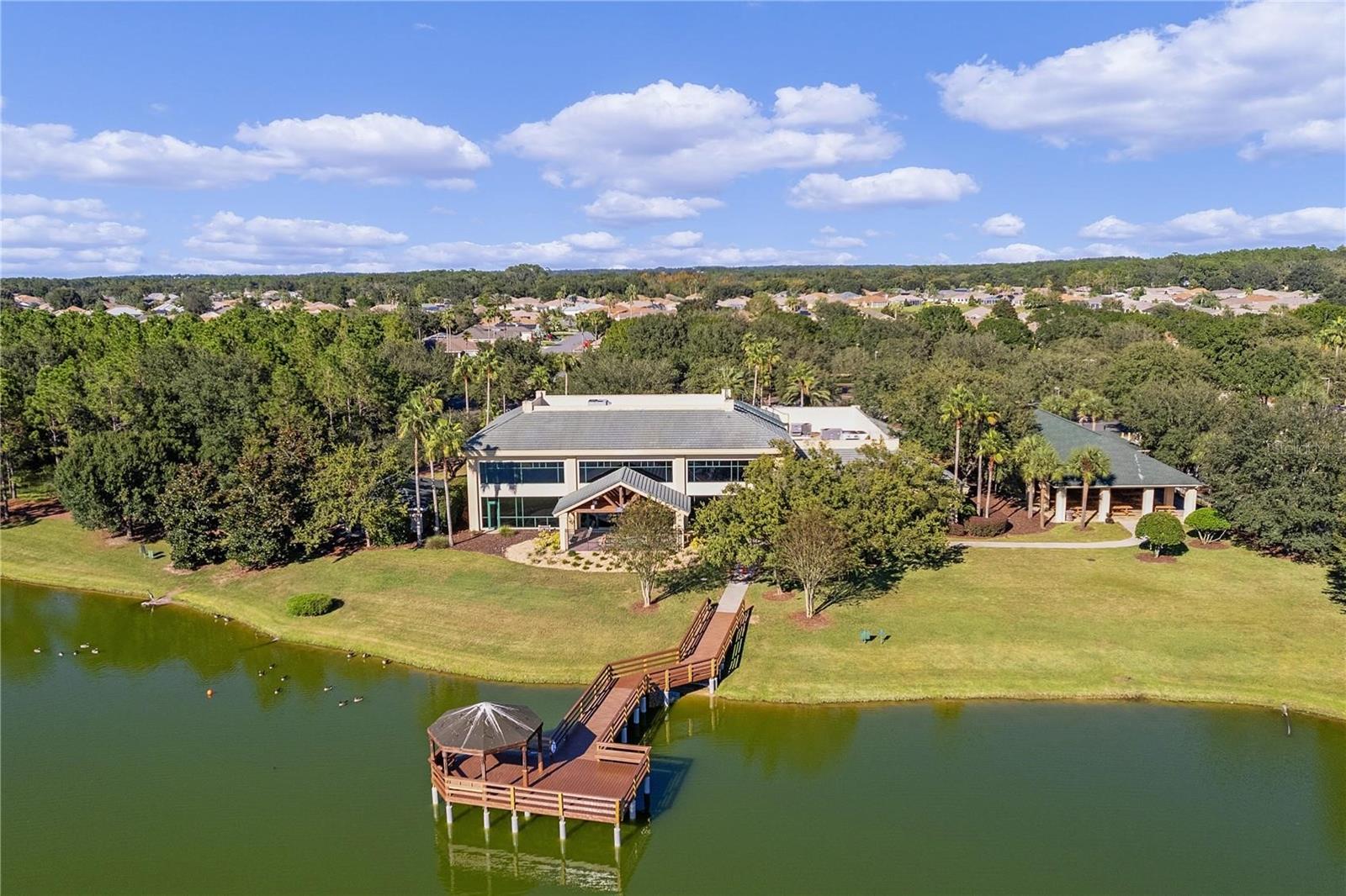 9255 SE 120TH LOOP, SUMMERFIELD, FL, 34491