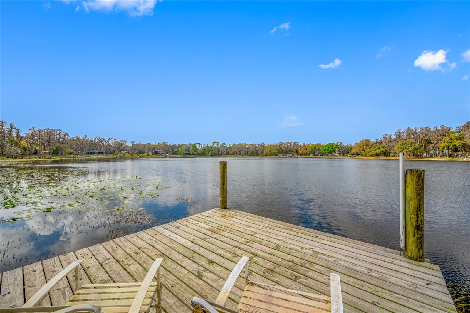 19202 ROGERS RD, ODESSA, FL, 33556