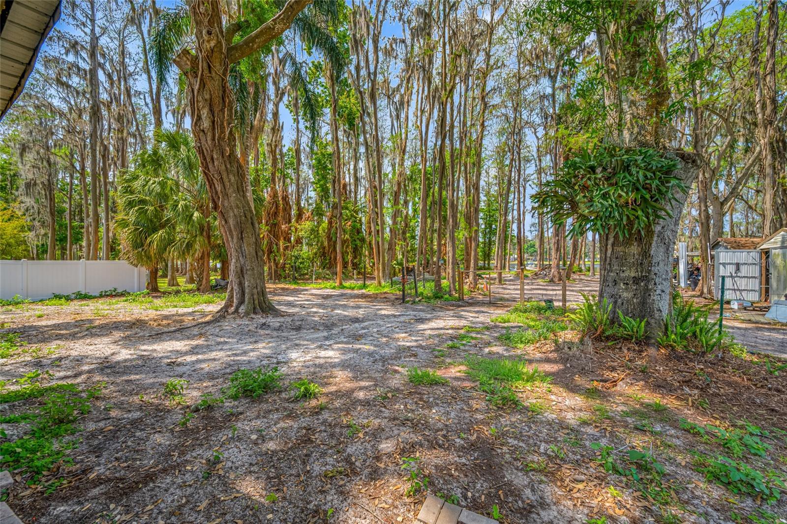 19202 ROGERS RD, ODESSA, FL, 33556