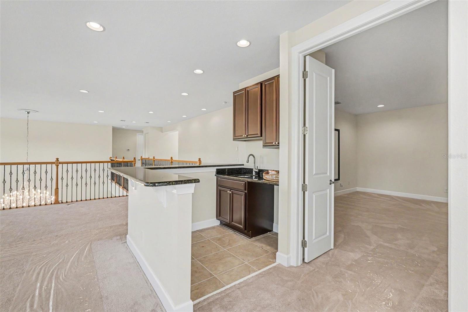14903 OLD TOM MORRIS CT, TAMPA, FL, 33626