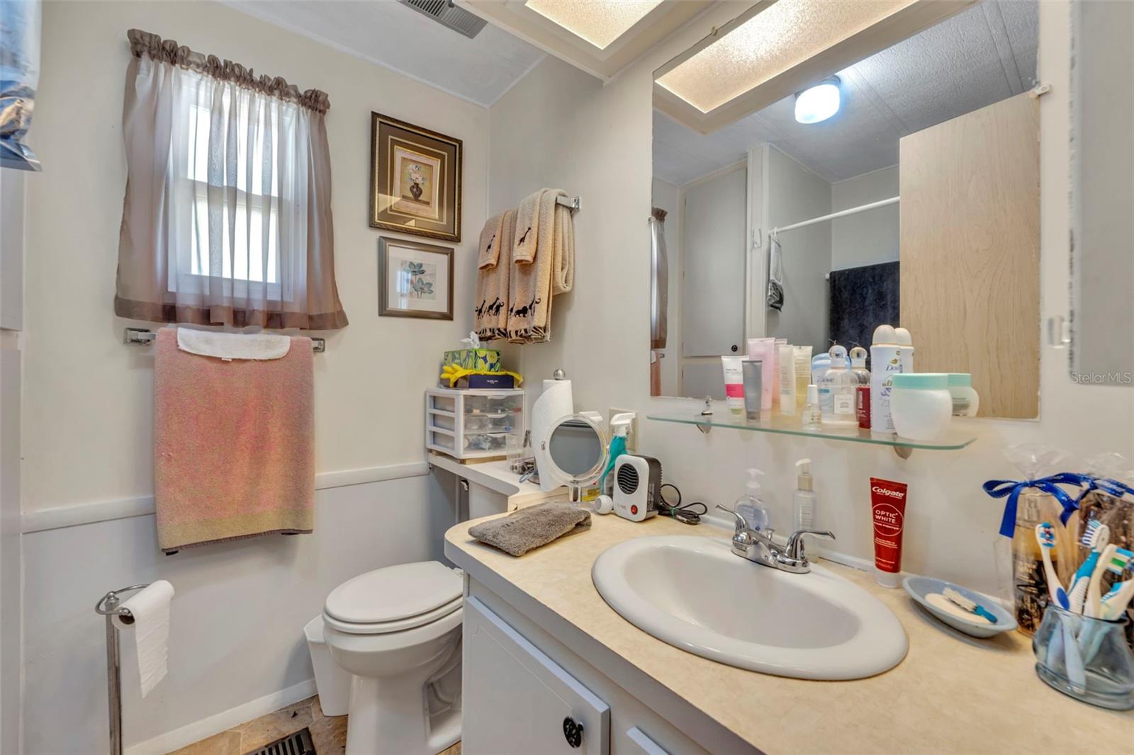 223 PARADISE S, LEESBURG, FL, 34788