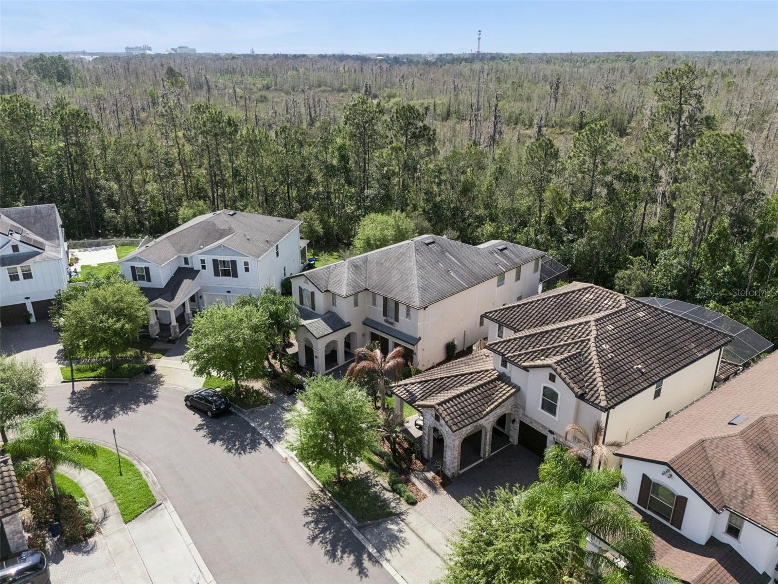 8415 VIVARO ISLE WAY, WINDERMERE, FL, 34786