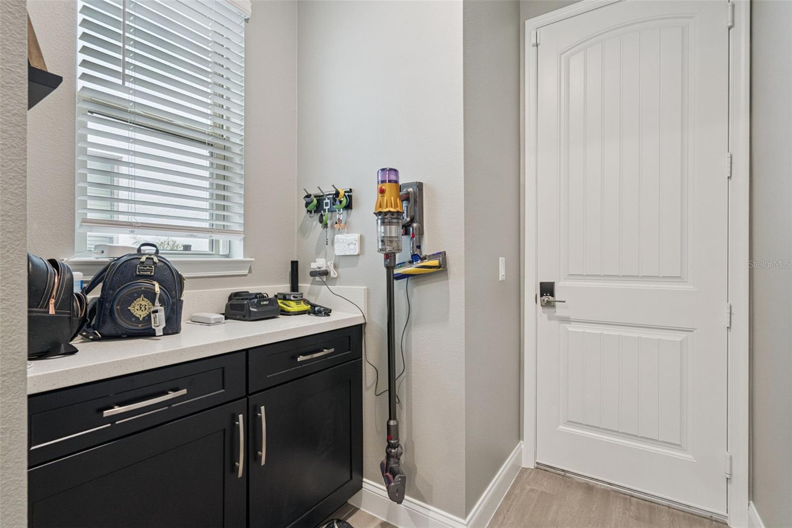 8415 VIVARO ISLE WAY, WINDERMERE, FL, 34786