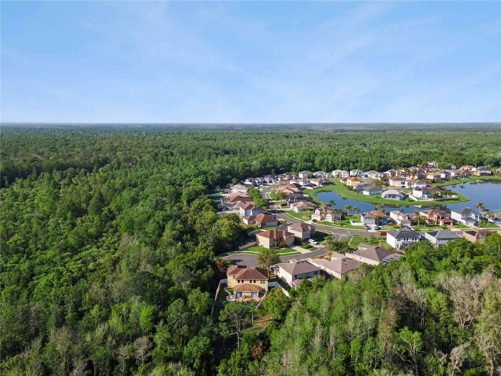 2606 ROYAL FERN PL, KISSIMMEE, FL, 34758