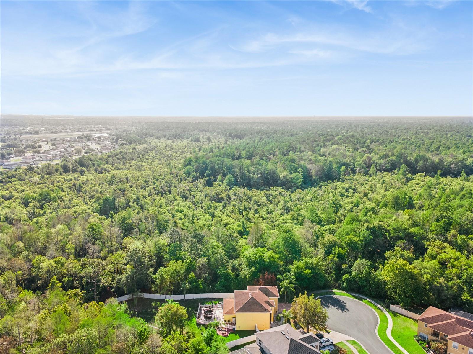 2606 ROYAL FERN PL, KISSIMMEE, FL, 34758