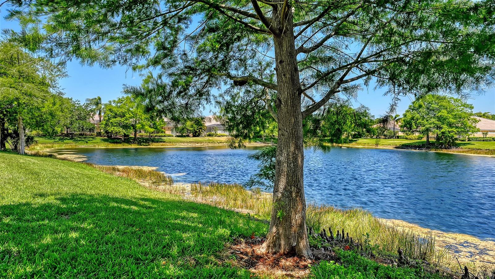 7775 ULIVA WAY, SARASOTA, FL, 34238