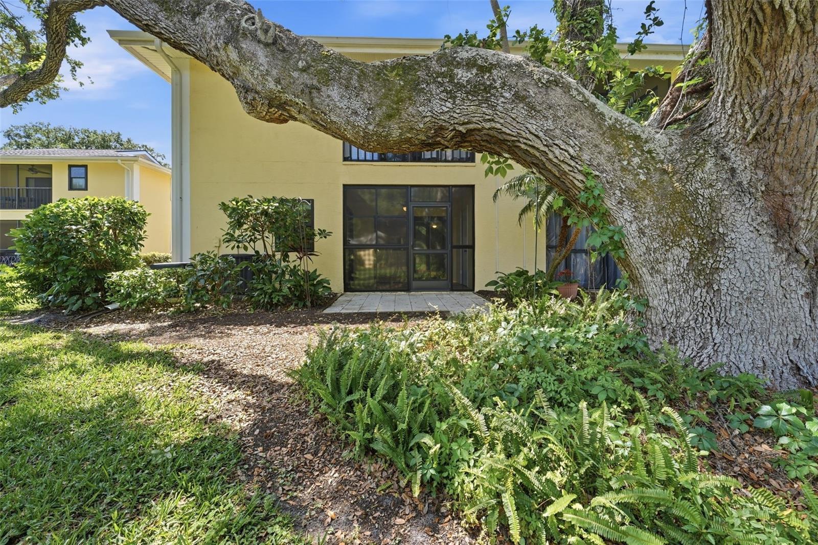 3001 58TH AVE S #1015, ST PETERSBURG, FL, 33712
