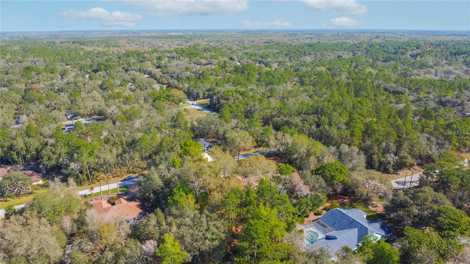 826 E GAINES LN, HERNANDO, FL, 34442